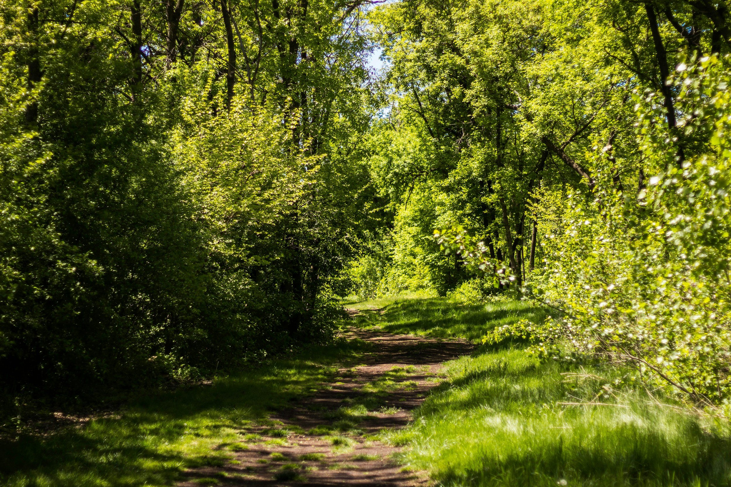 Get Your Steps In: 5 Scenic Walking Trails in KW