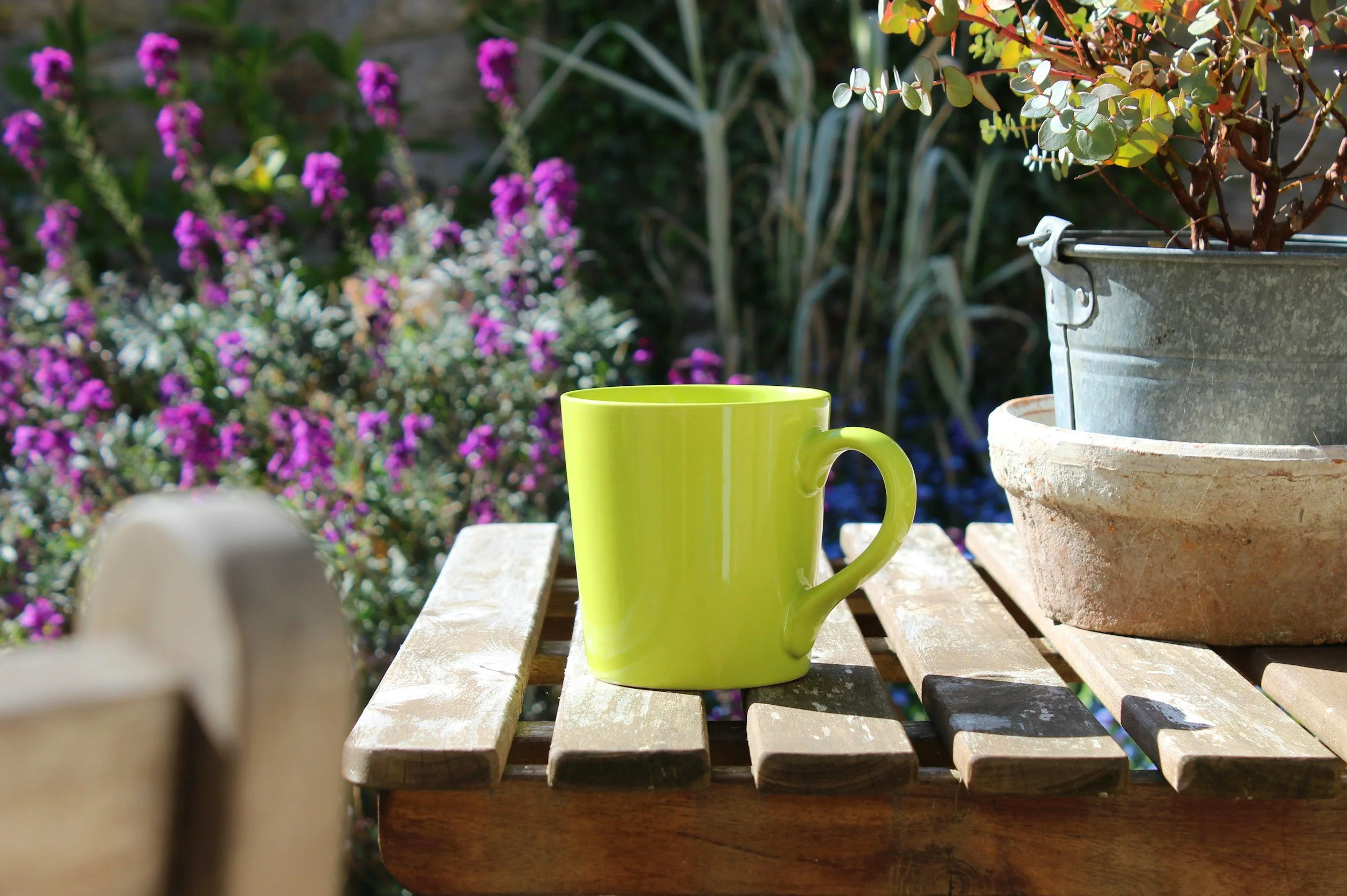 What Buyers Expect to See in a Summer Listing