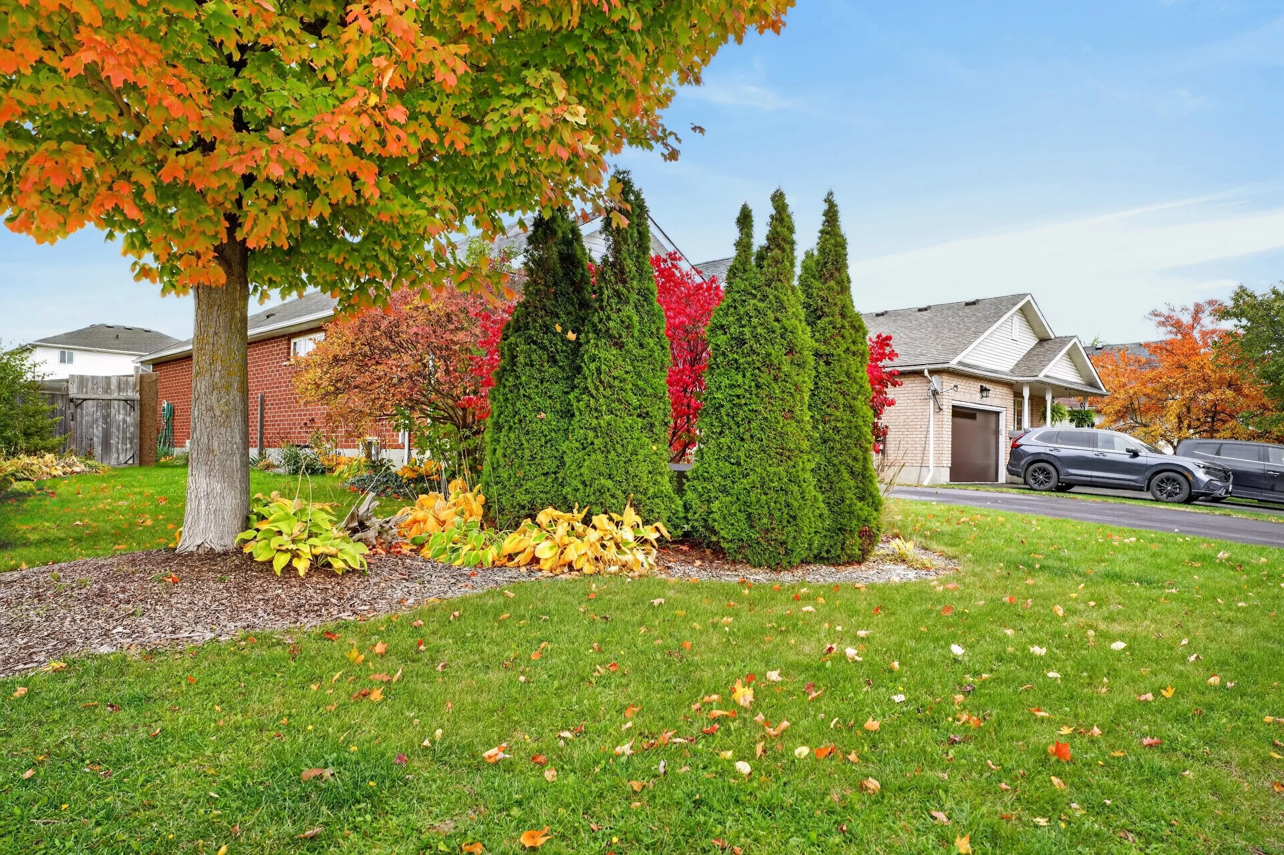 007-10 Pattison Place Fergus7.jpg