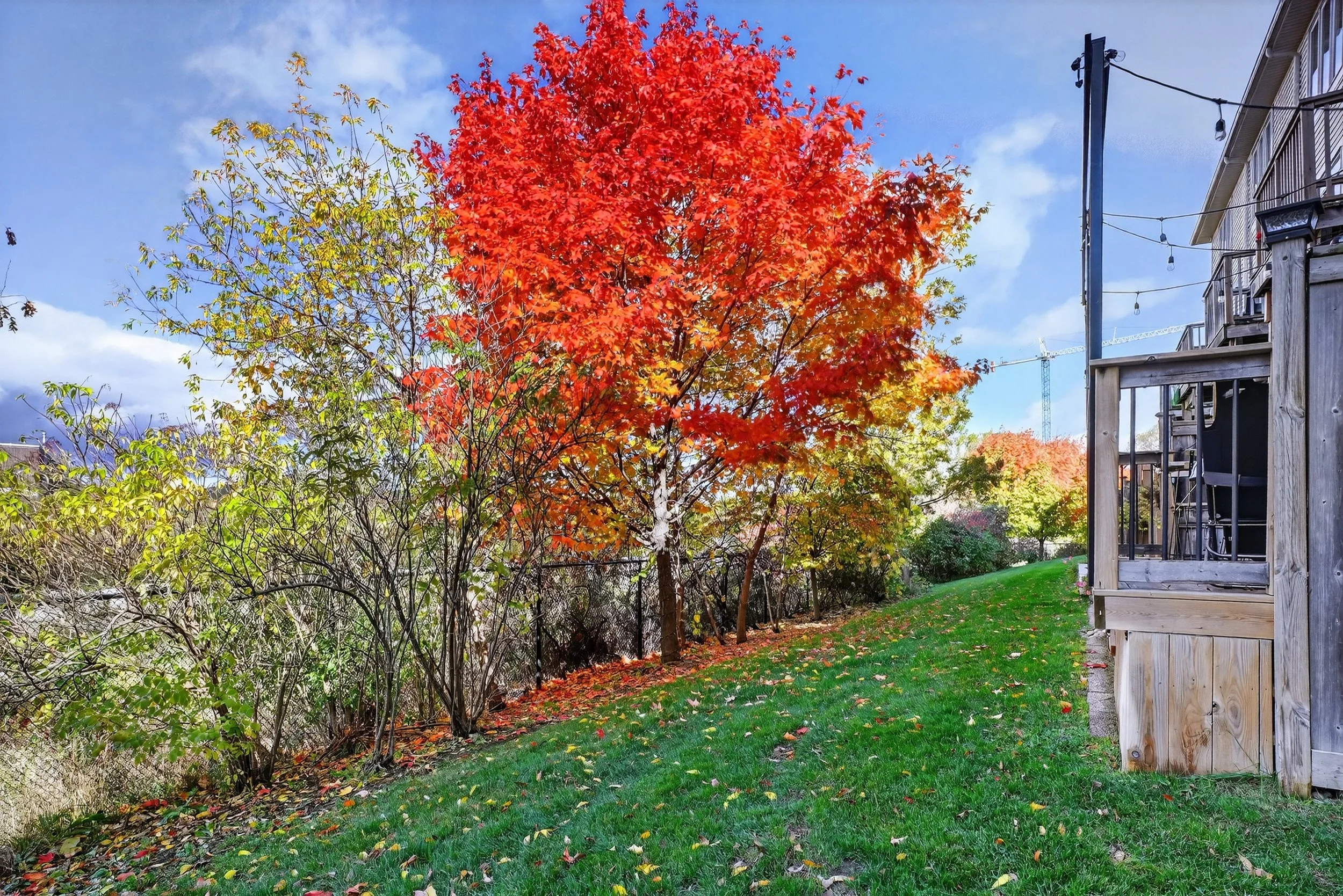 044-11 - 342 Mill St Kitchener 44.jpg