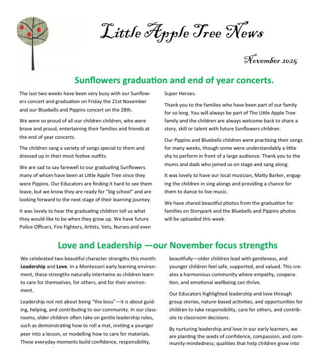 school ready, free Kindy, play based learning