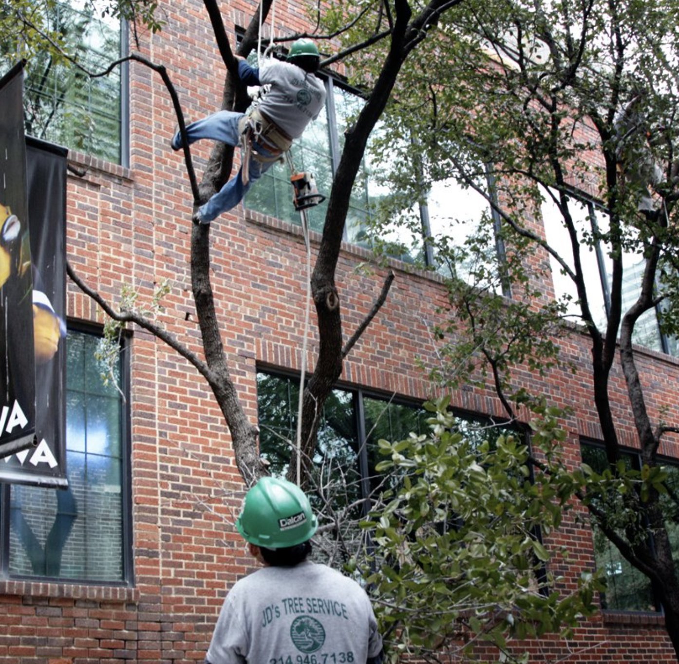 Trimmings and Removal