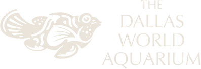 Logo of The Dallas World Aquarium featuring a stylized fish graphic and text.