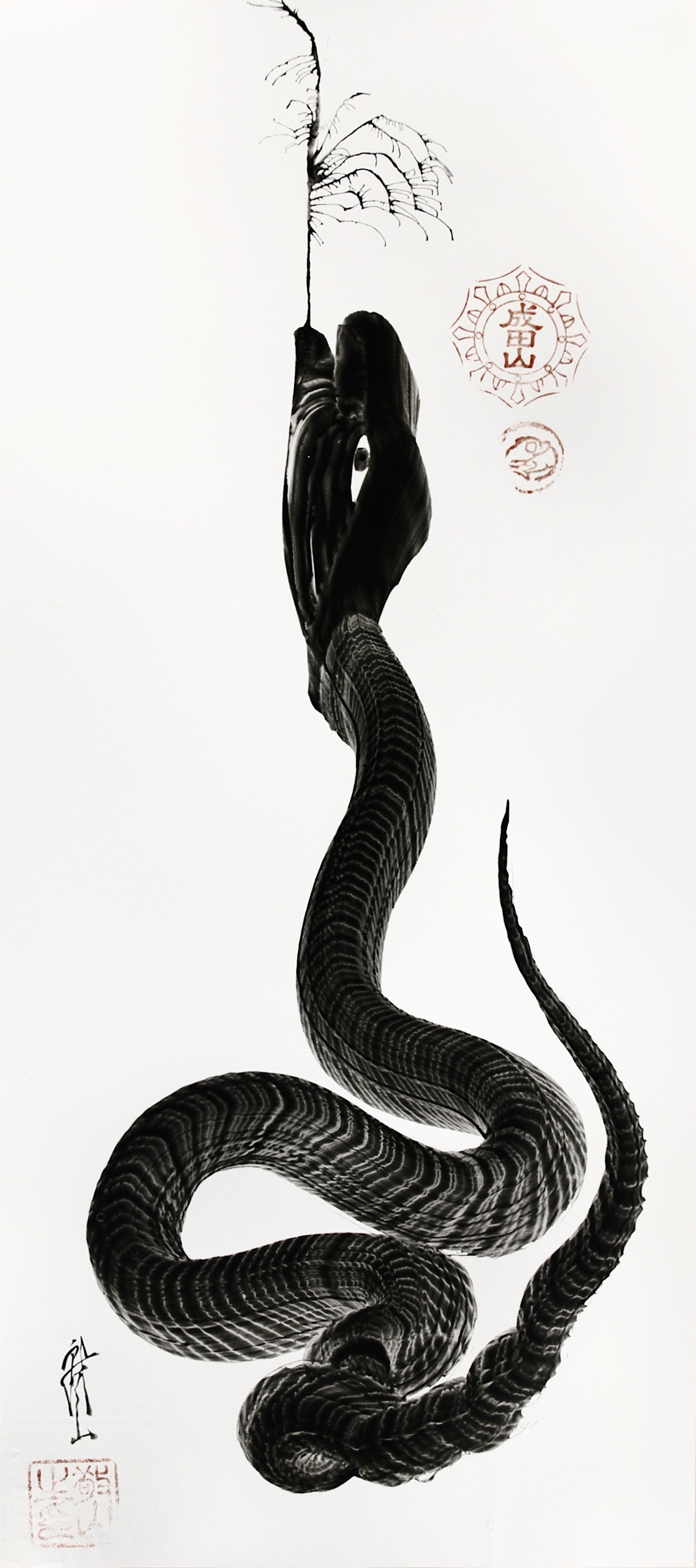 ZEN PRIEST