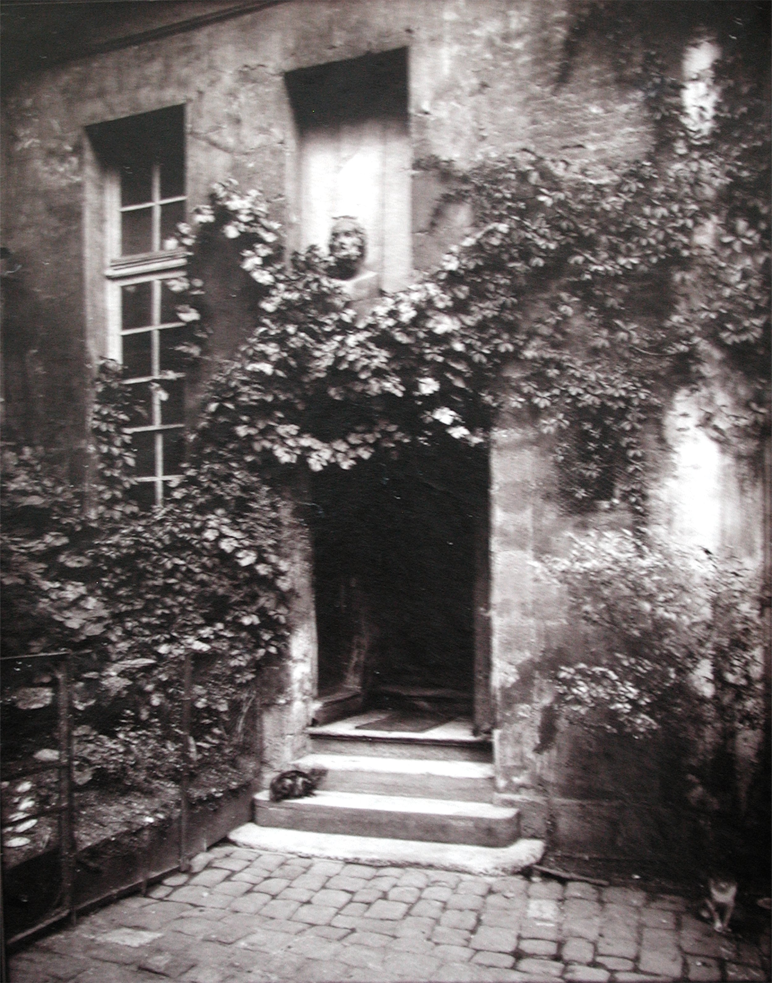 CHICAGO ALBUMEN WORKS