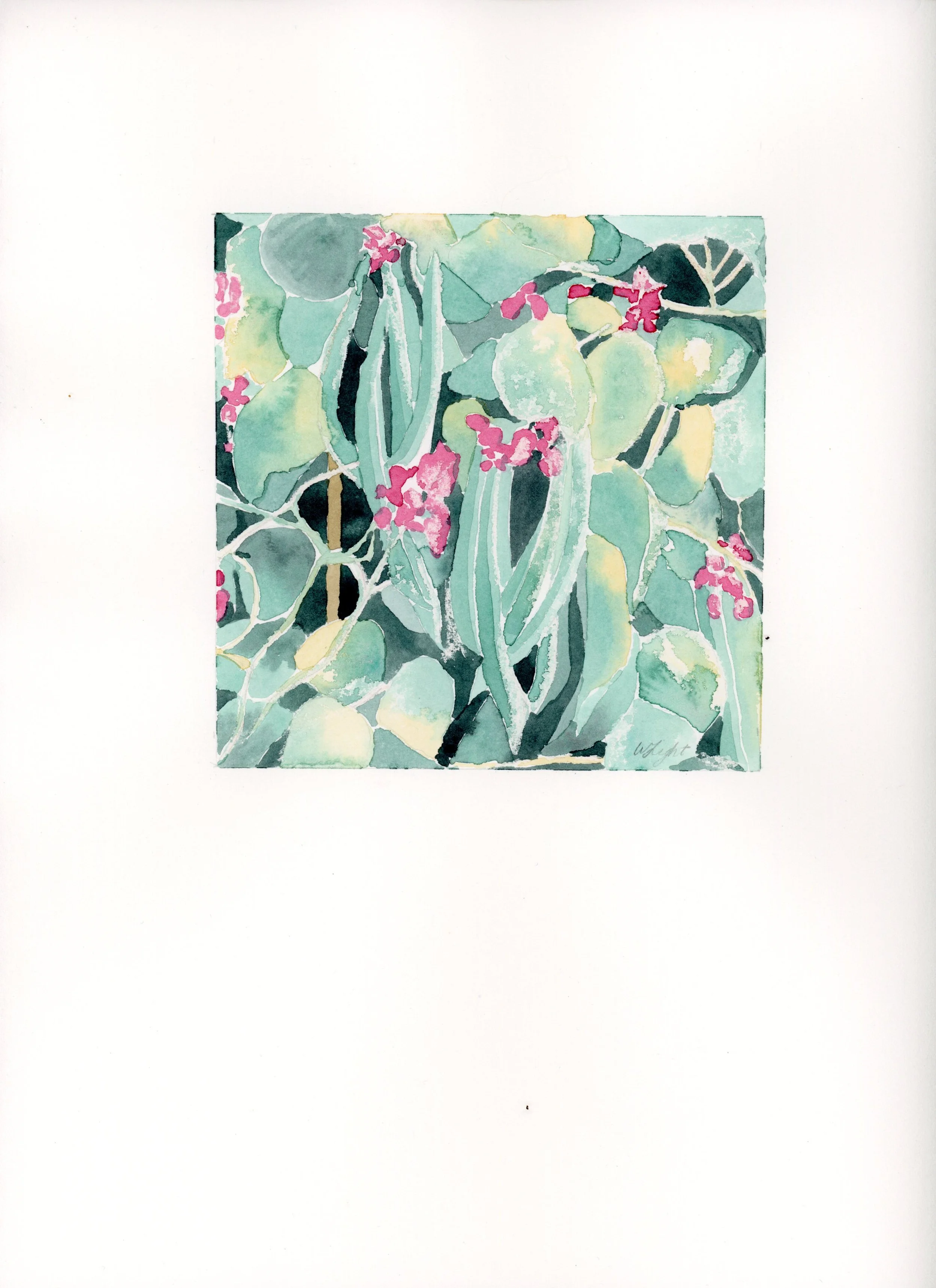 runnerbeans_5x5_paper.jpg