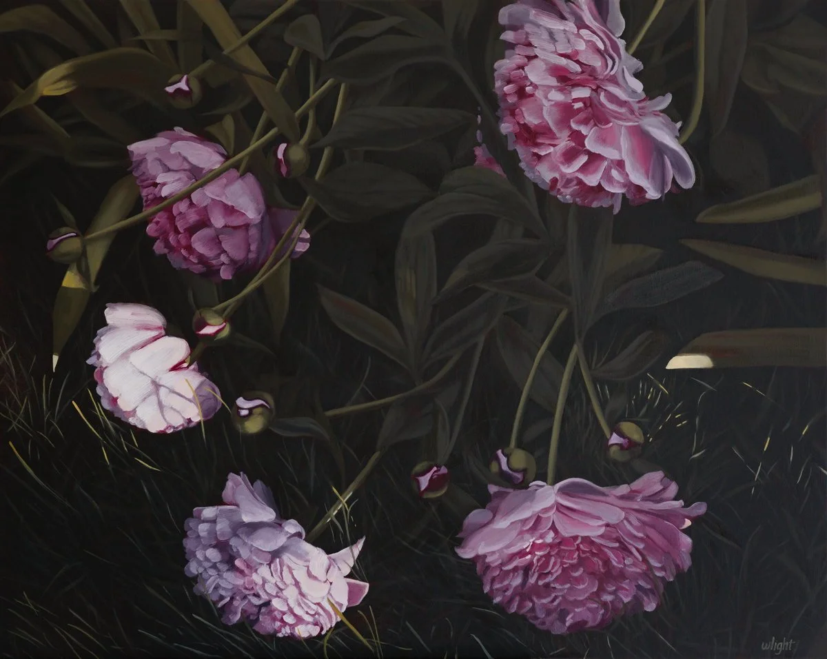 Peonies at dawn