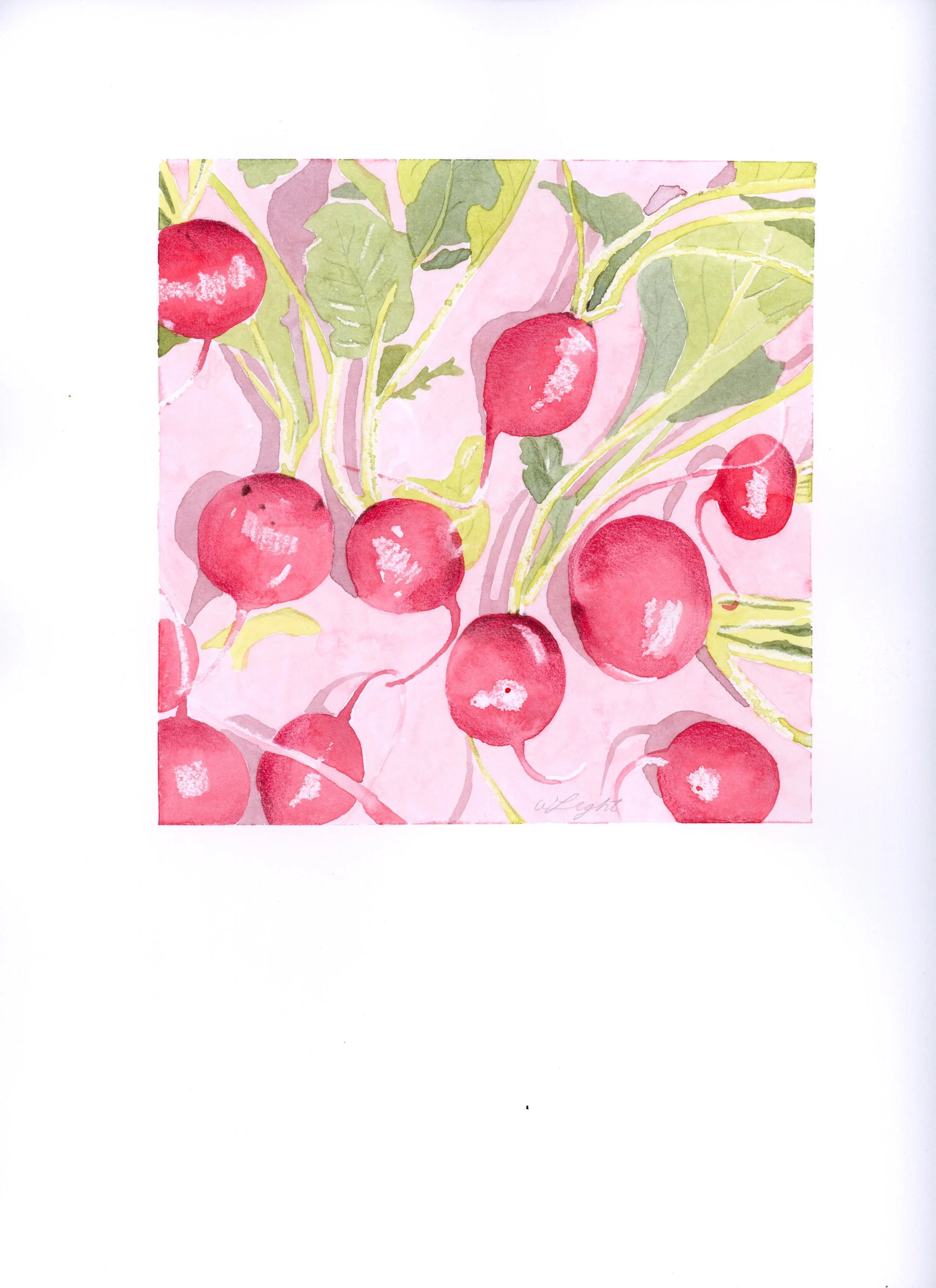 radishes_6x6_paper.jpg