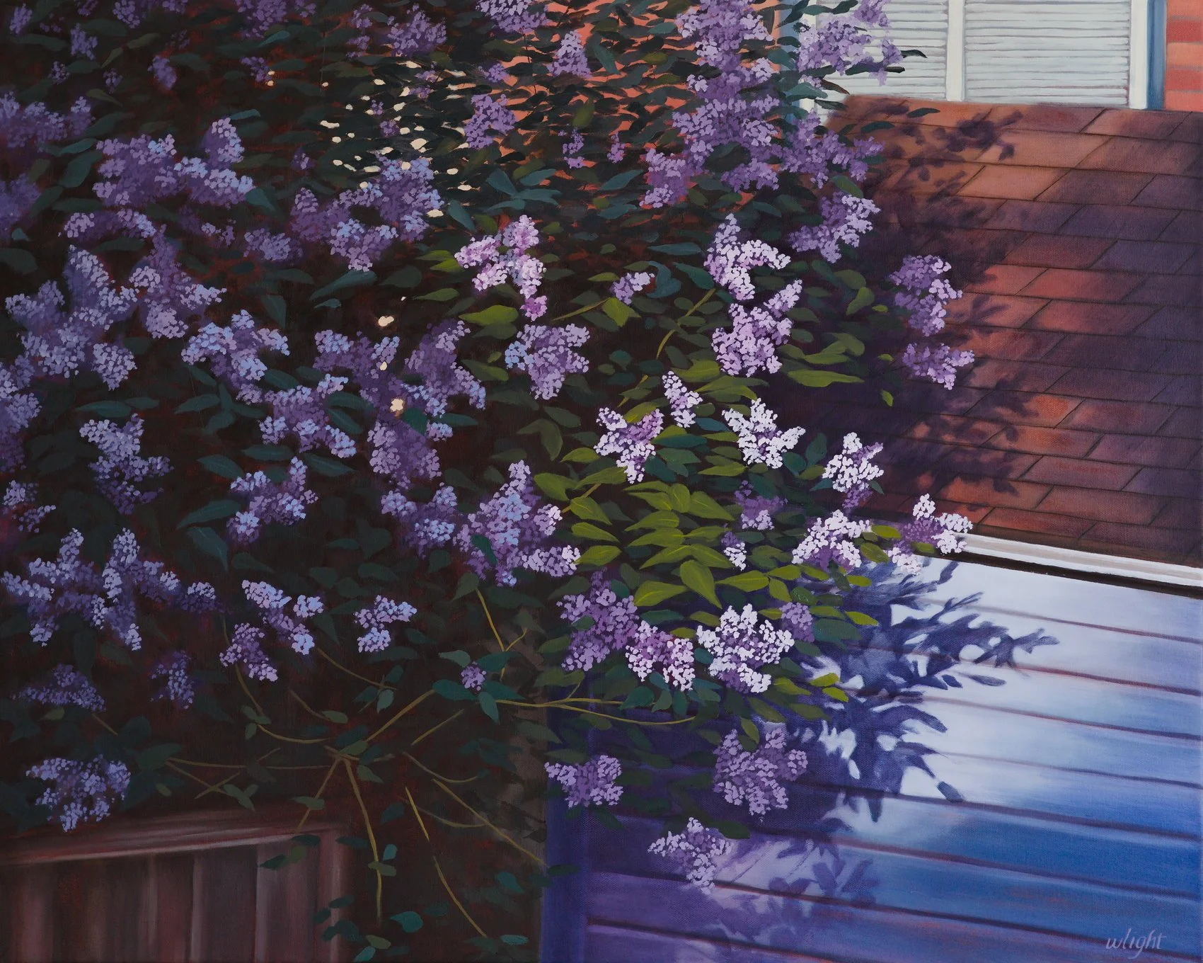 Lilac, evening