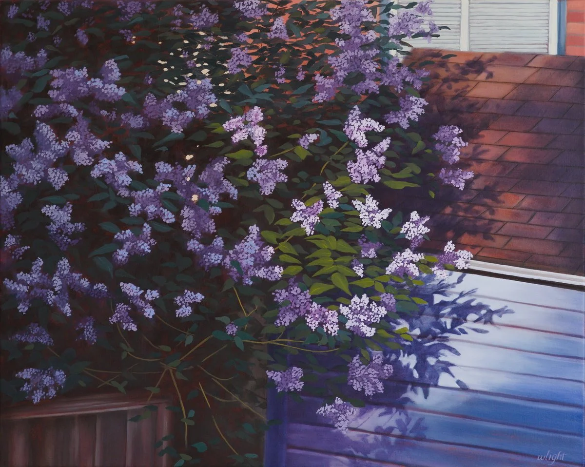Lilac, evening