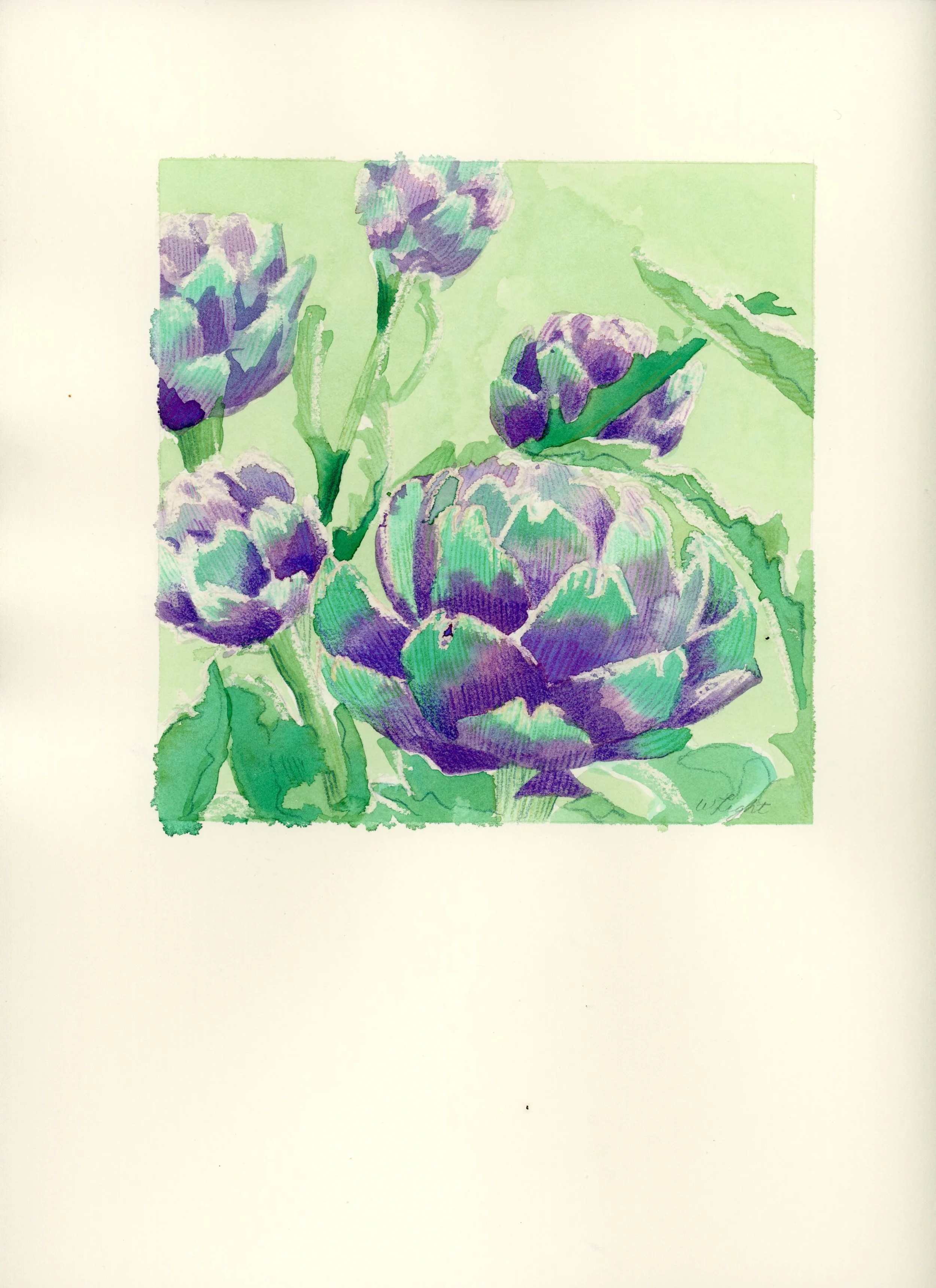 artichoke_6x6_paper.jpg