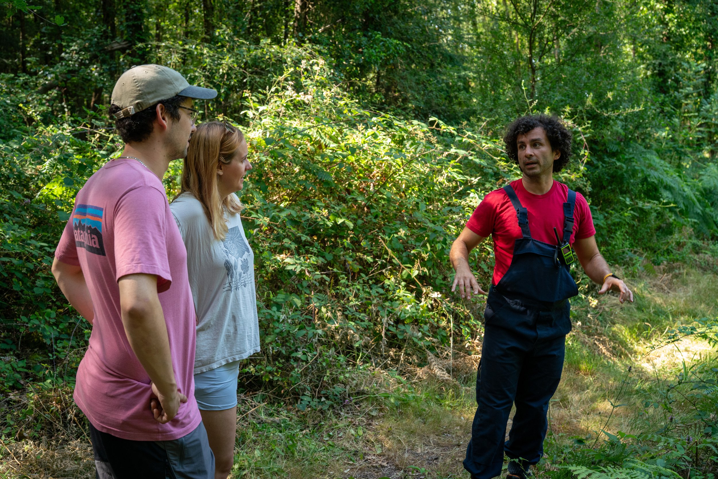 260710_EngInTheWoods-09392.jpg