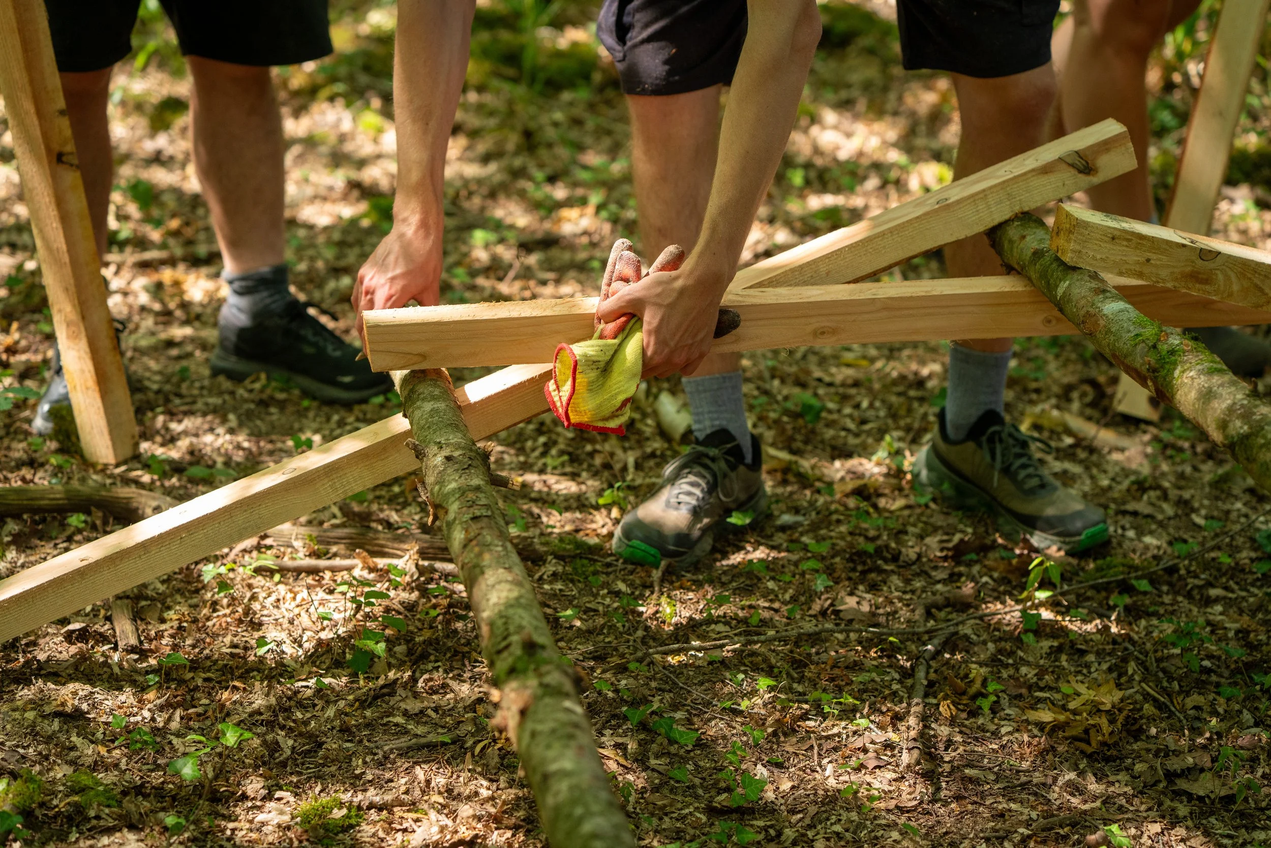 260710_EngInTheWoods-00073.jpg