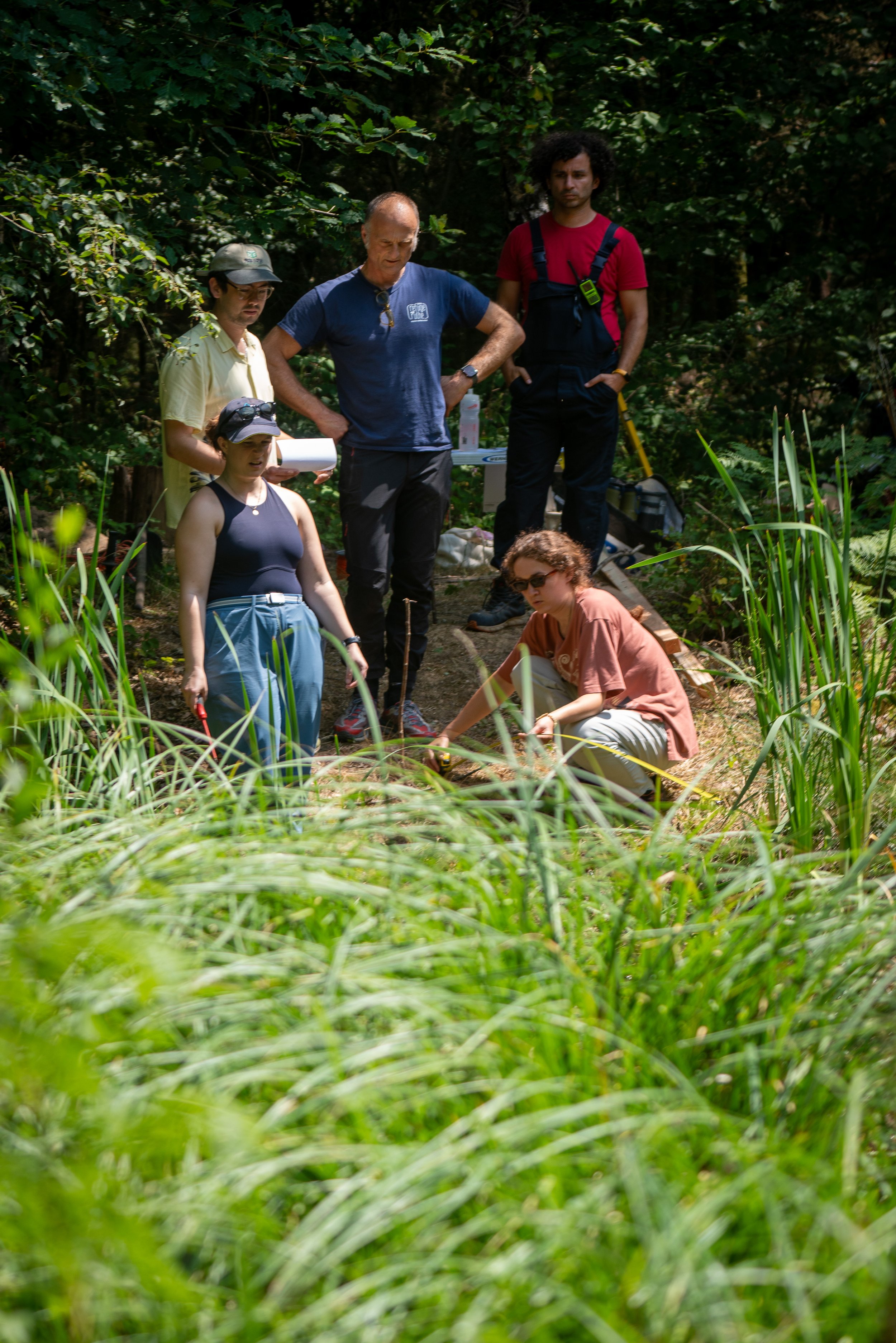 260710_EngInTheWoods-09637.jpg