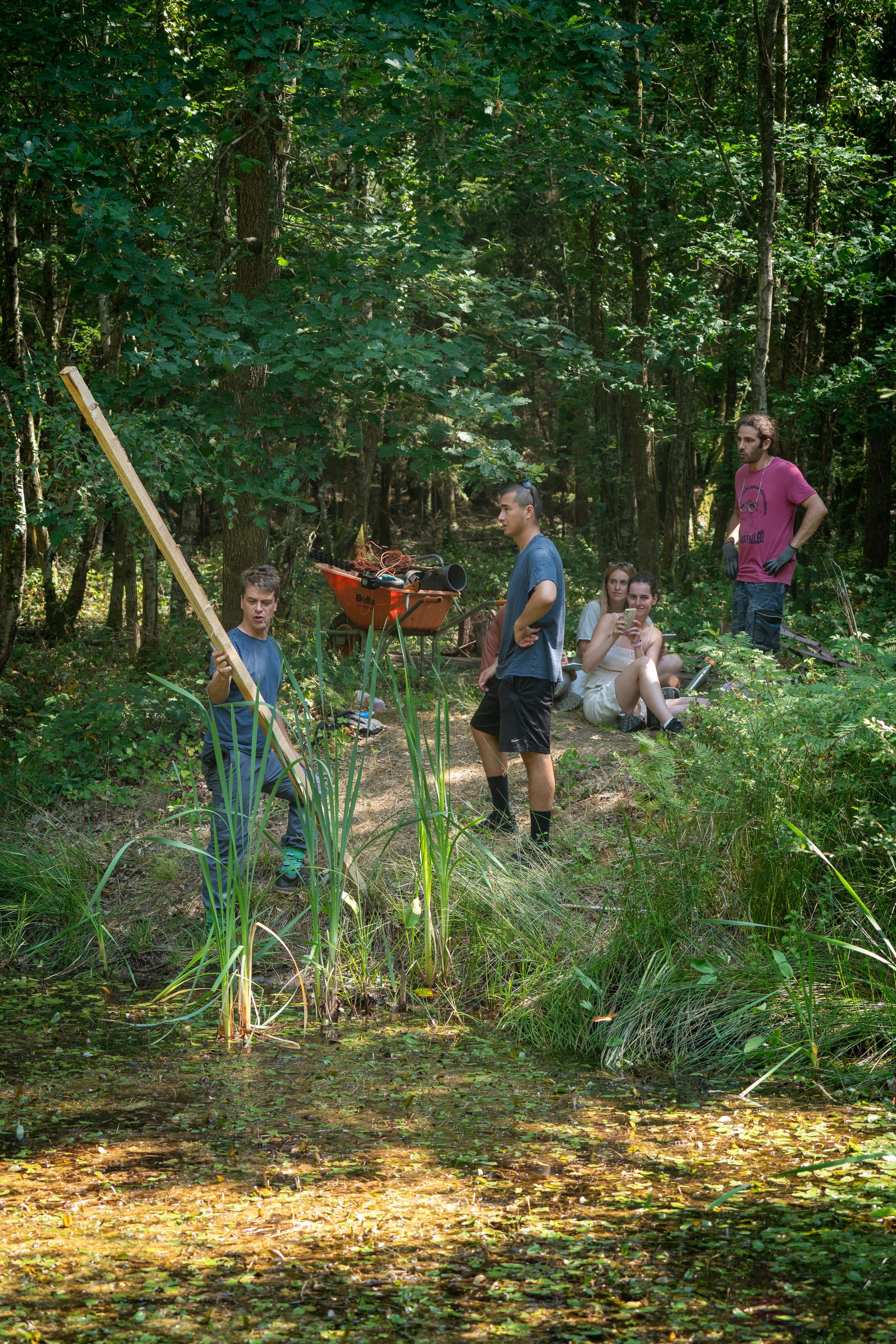 260710_EngInTheWoods-09524.jpg