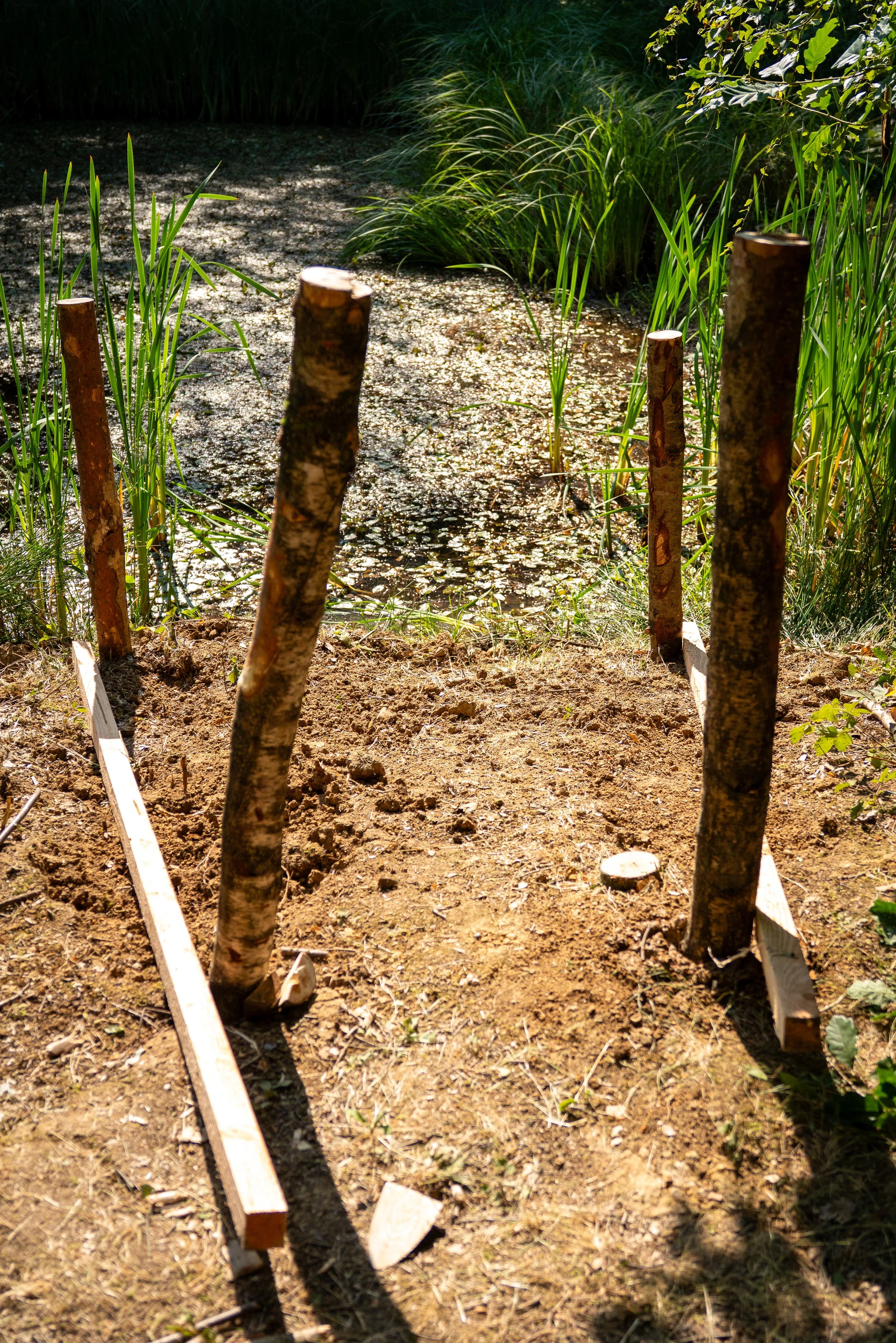 260710_EngInTheWoods-00431.jpg