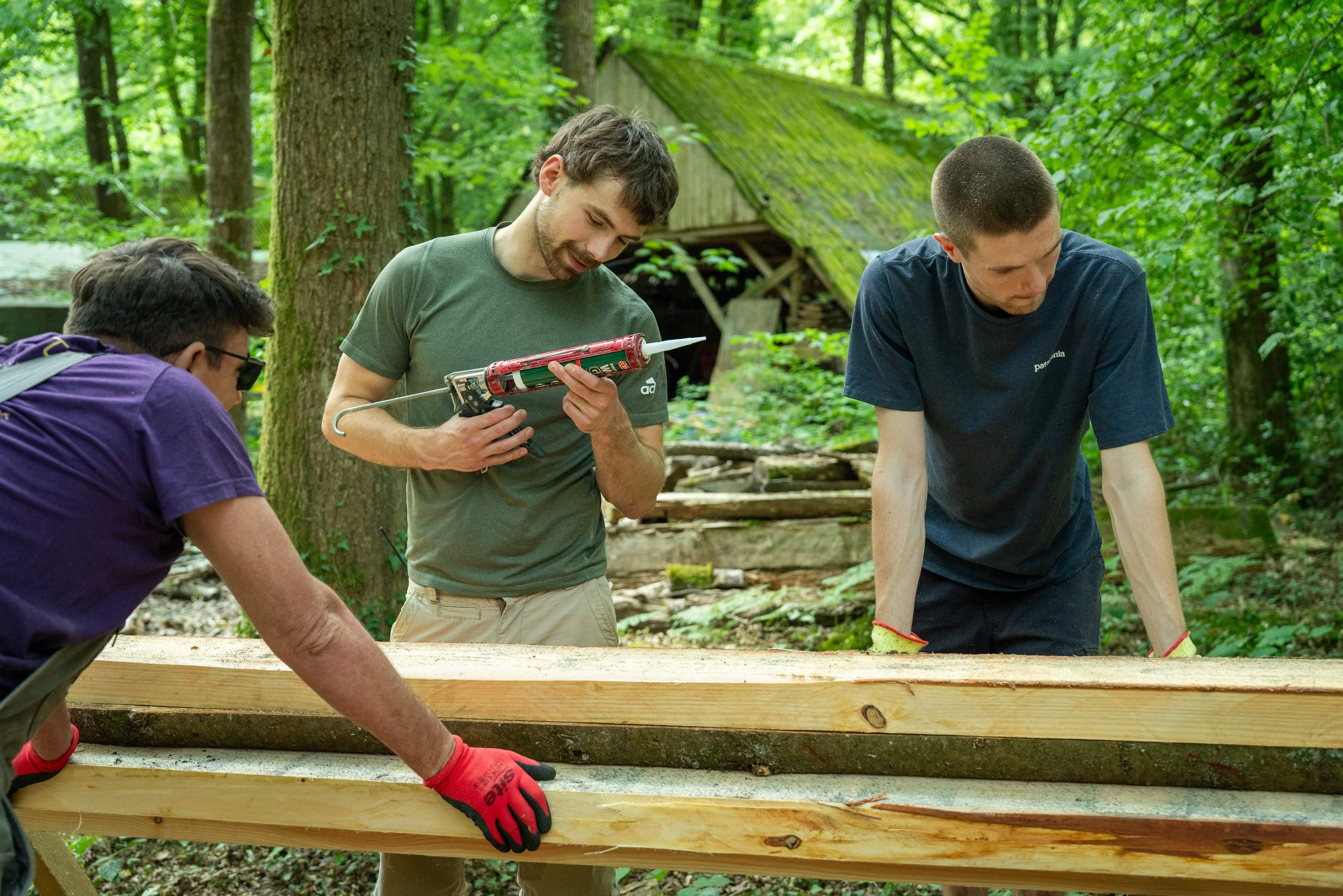 260710_EngInTheWoods-09826.jpg