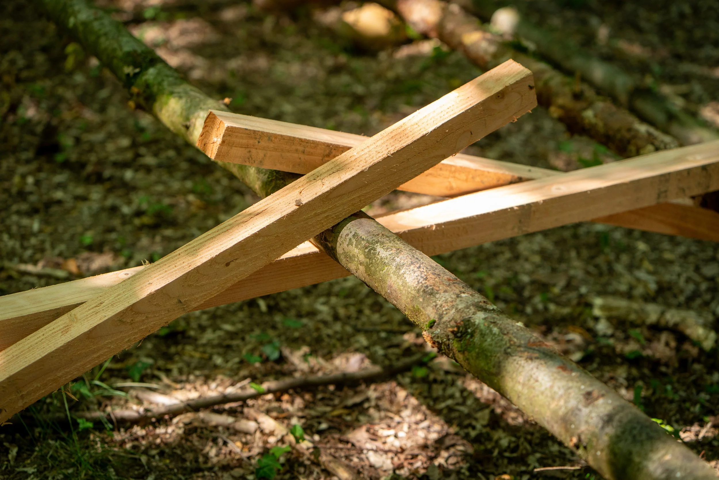 260710_EngInTheWoods-00072.jpg