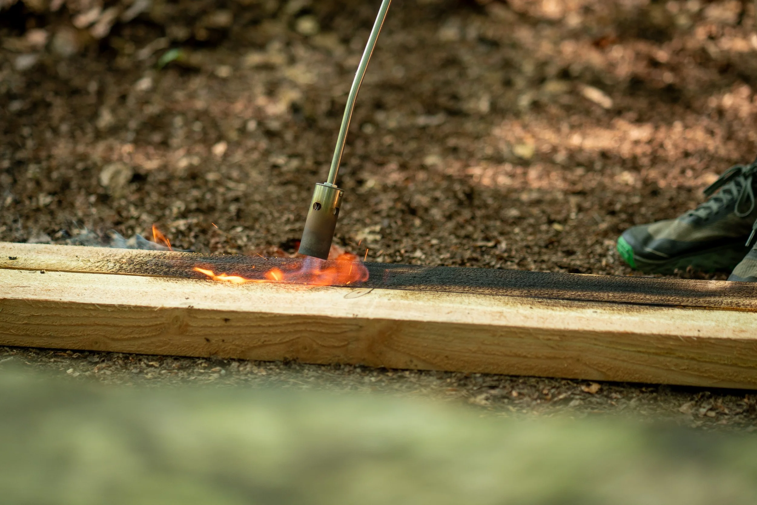 260710_EngInTheWoods-00313.jpg