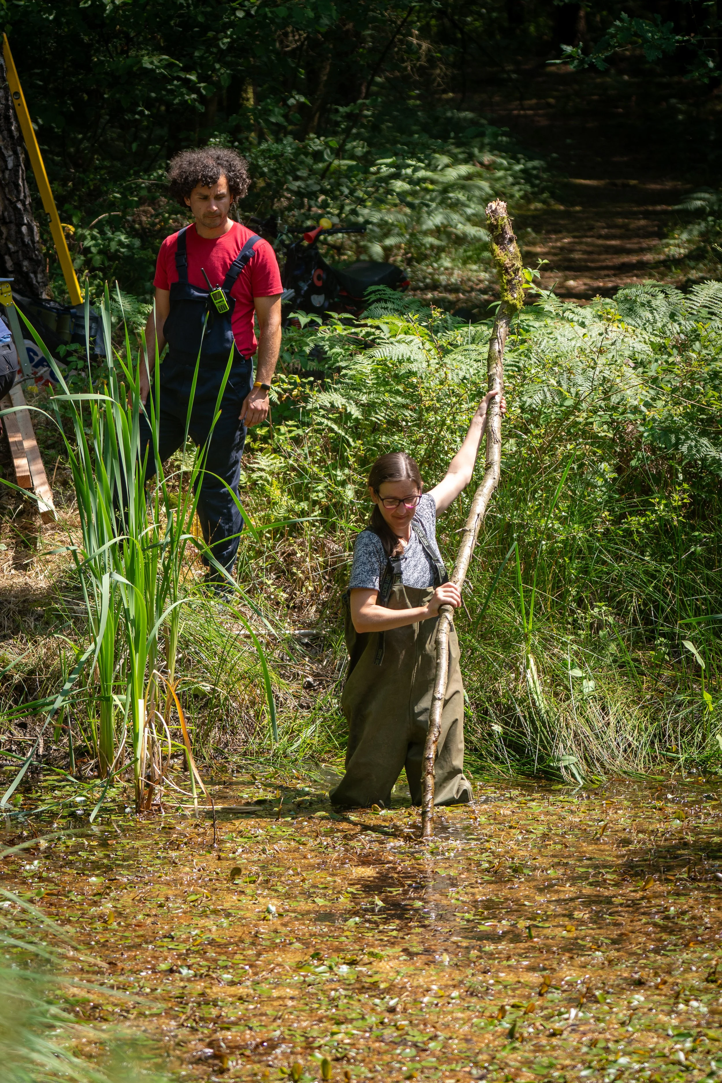 260710_EngInTheWoods-09646.jpg