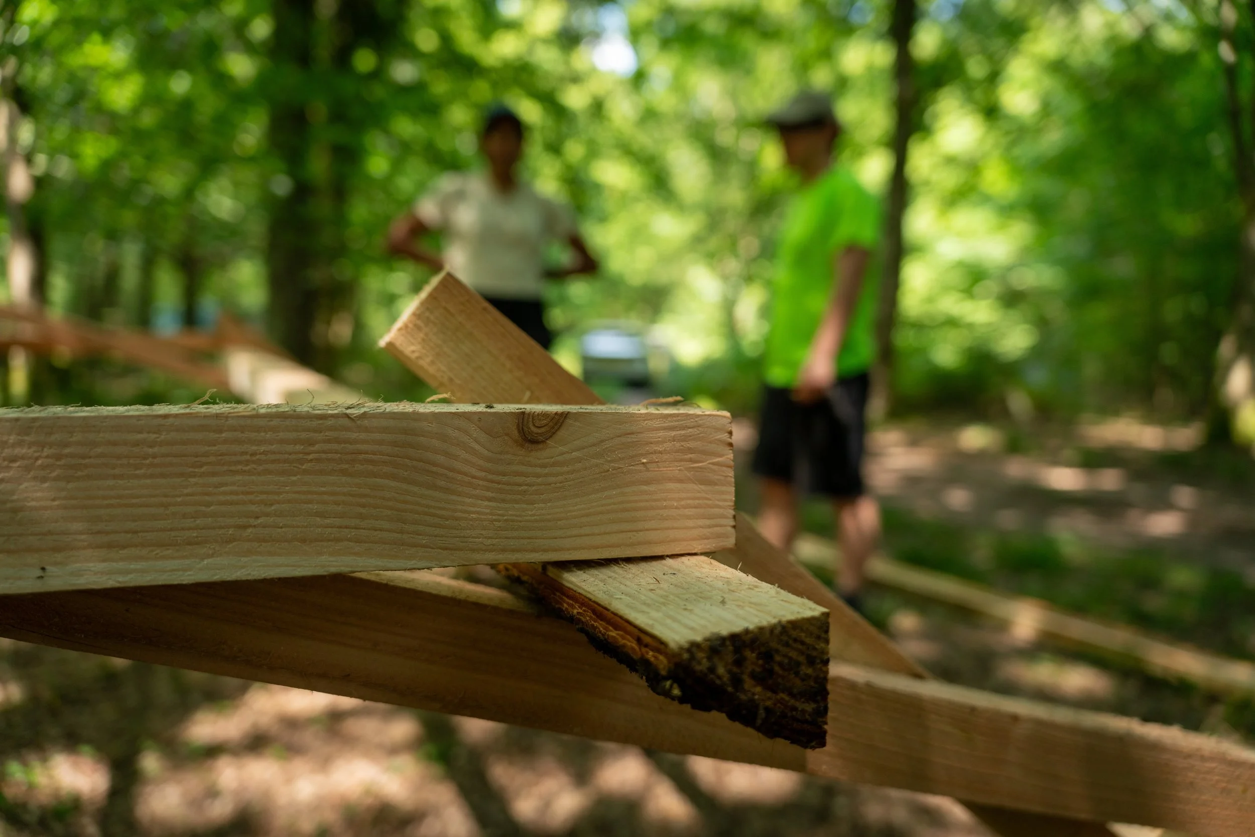 260710_EngInTheWoods-09781.jpg