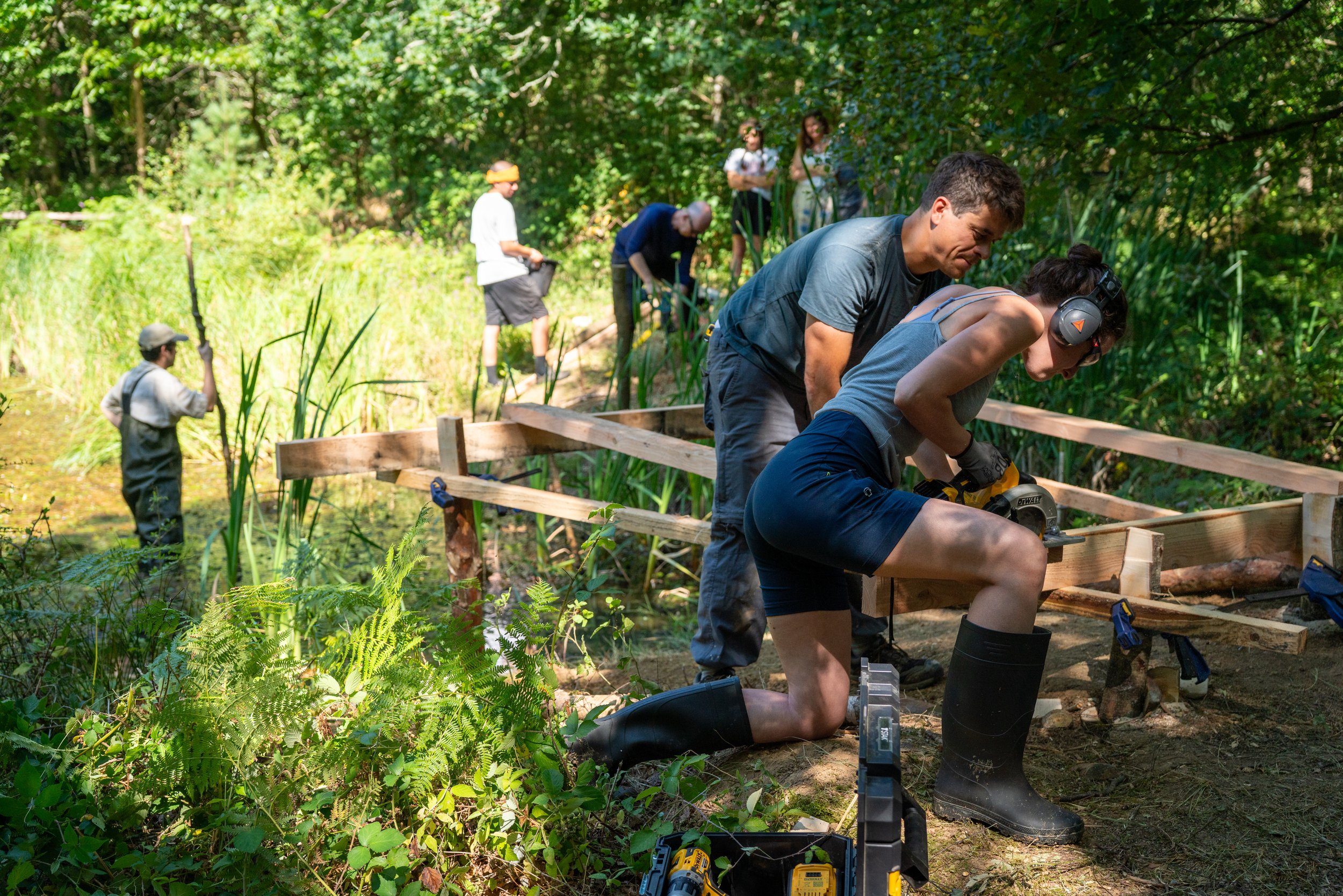 260711_EngInTheWoods-00704.jpg