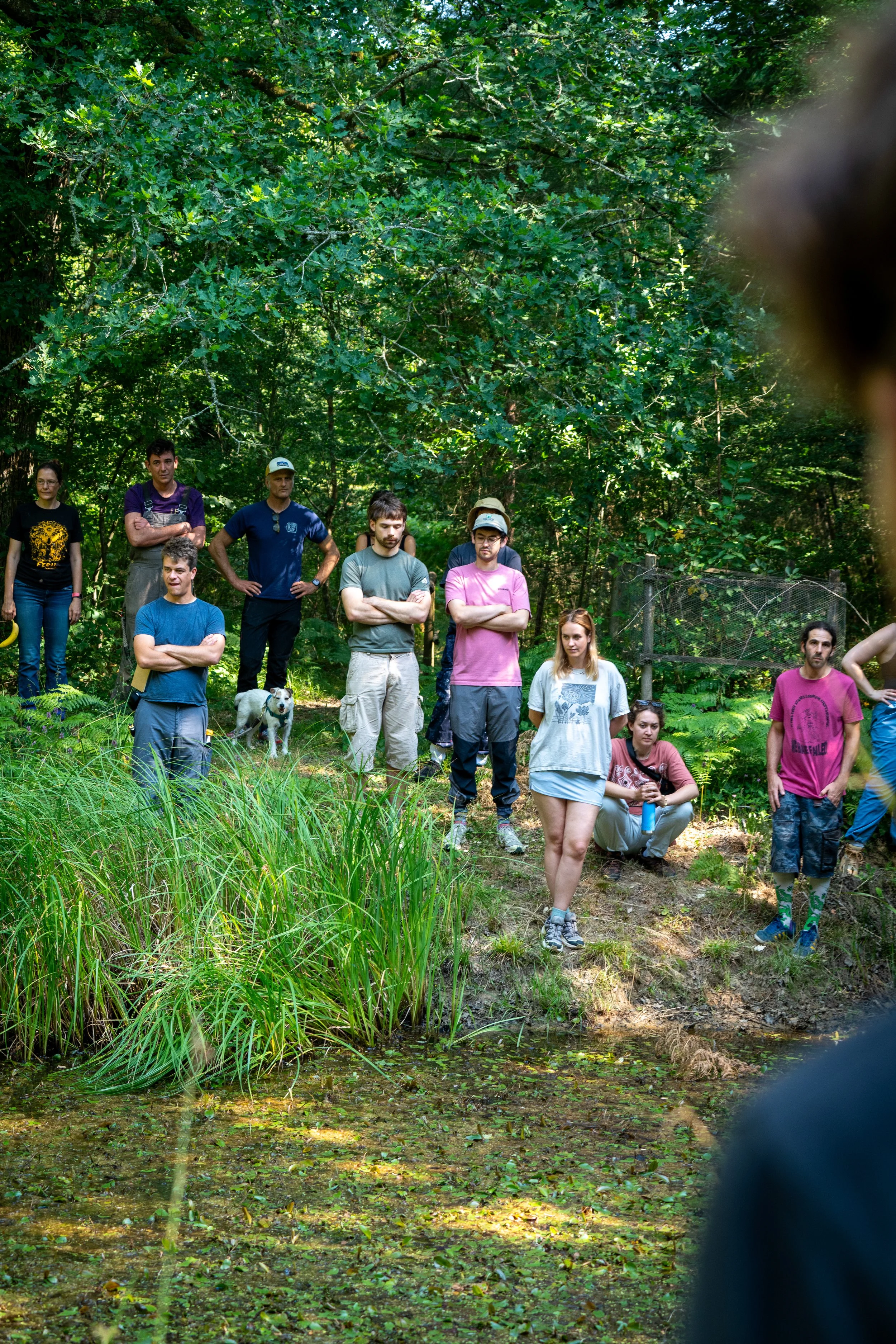 260710_EngInTheWoods-09357.jpg