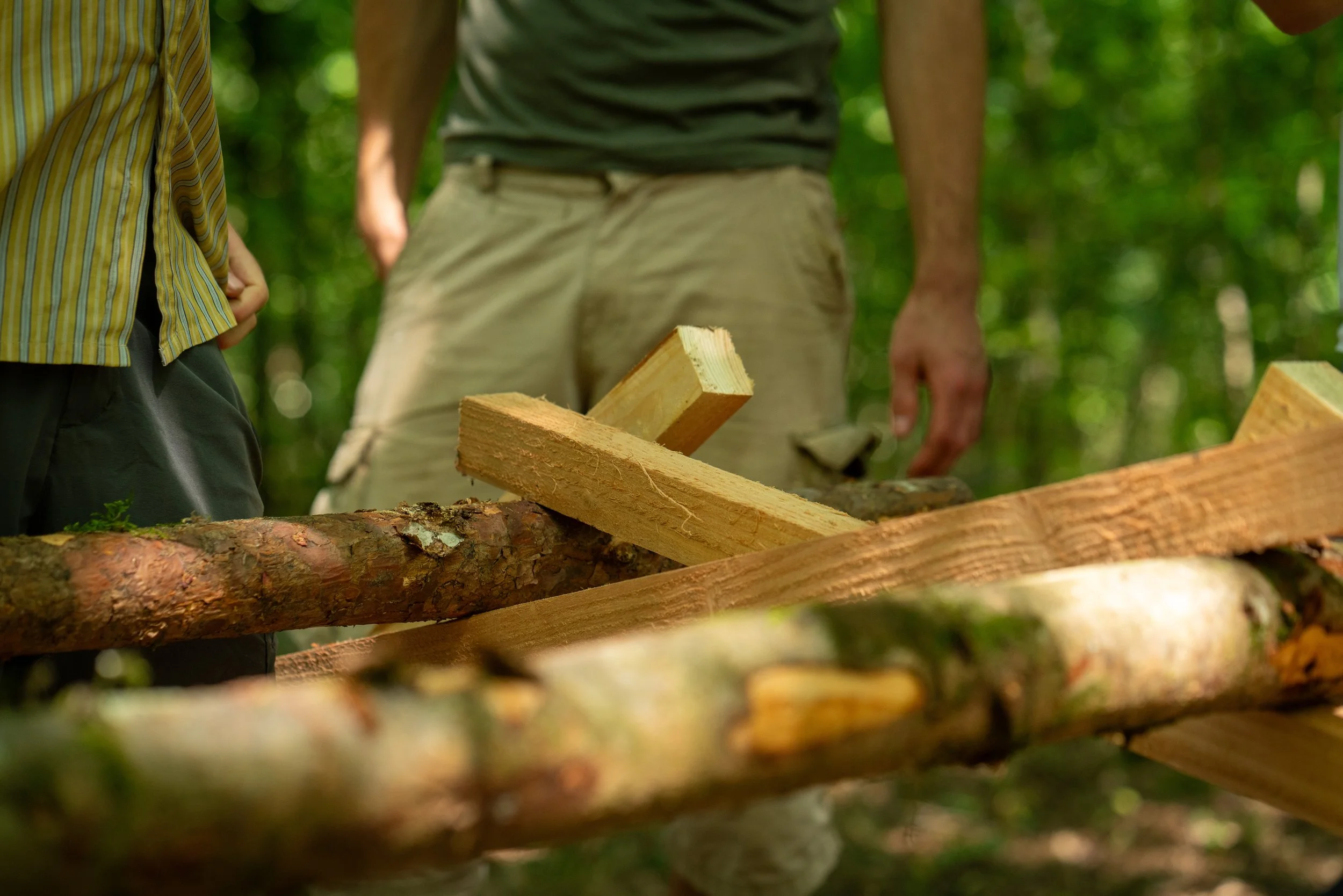 260710_EngInTheWoods-00084.jpg
