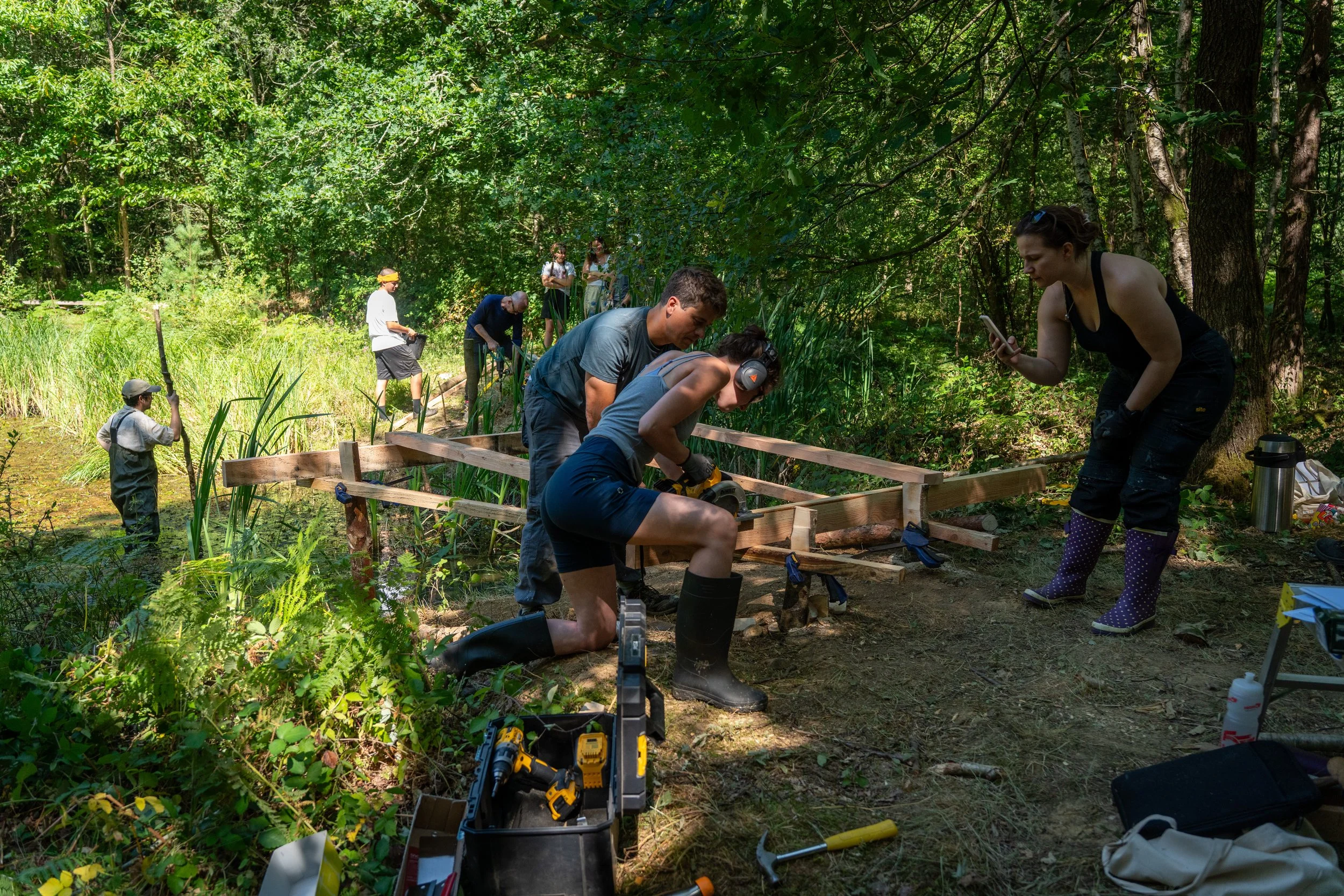 260711_EngInTheWoods-00700.jpg