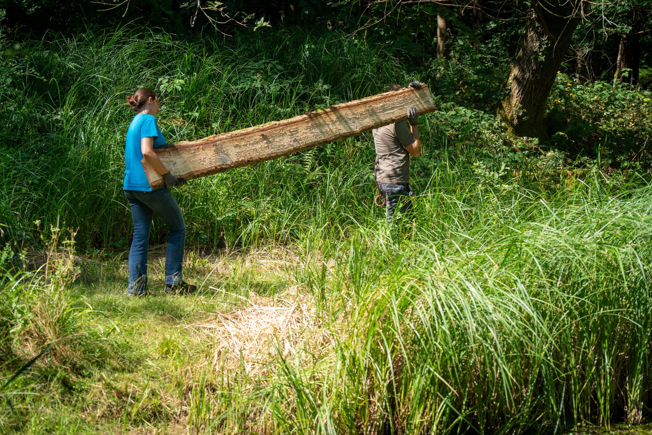 260711_EngInTheWoods-00840.jpg