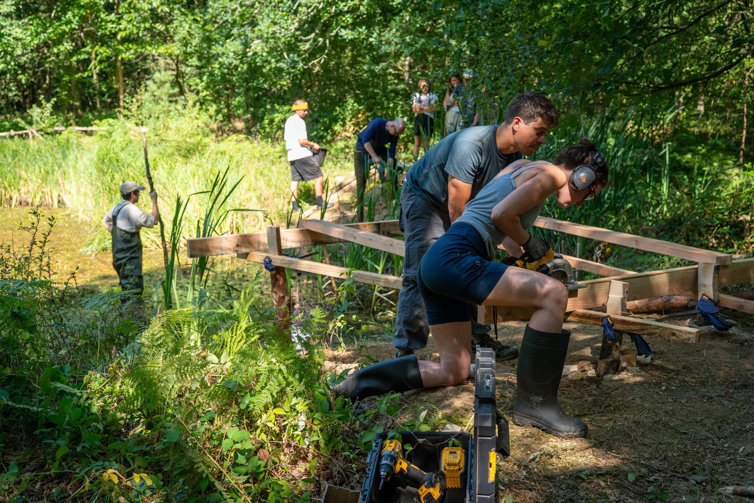 260711_EngInTheWoods-00703.jpg
