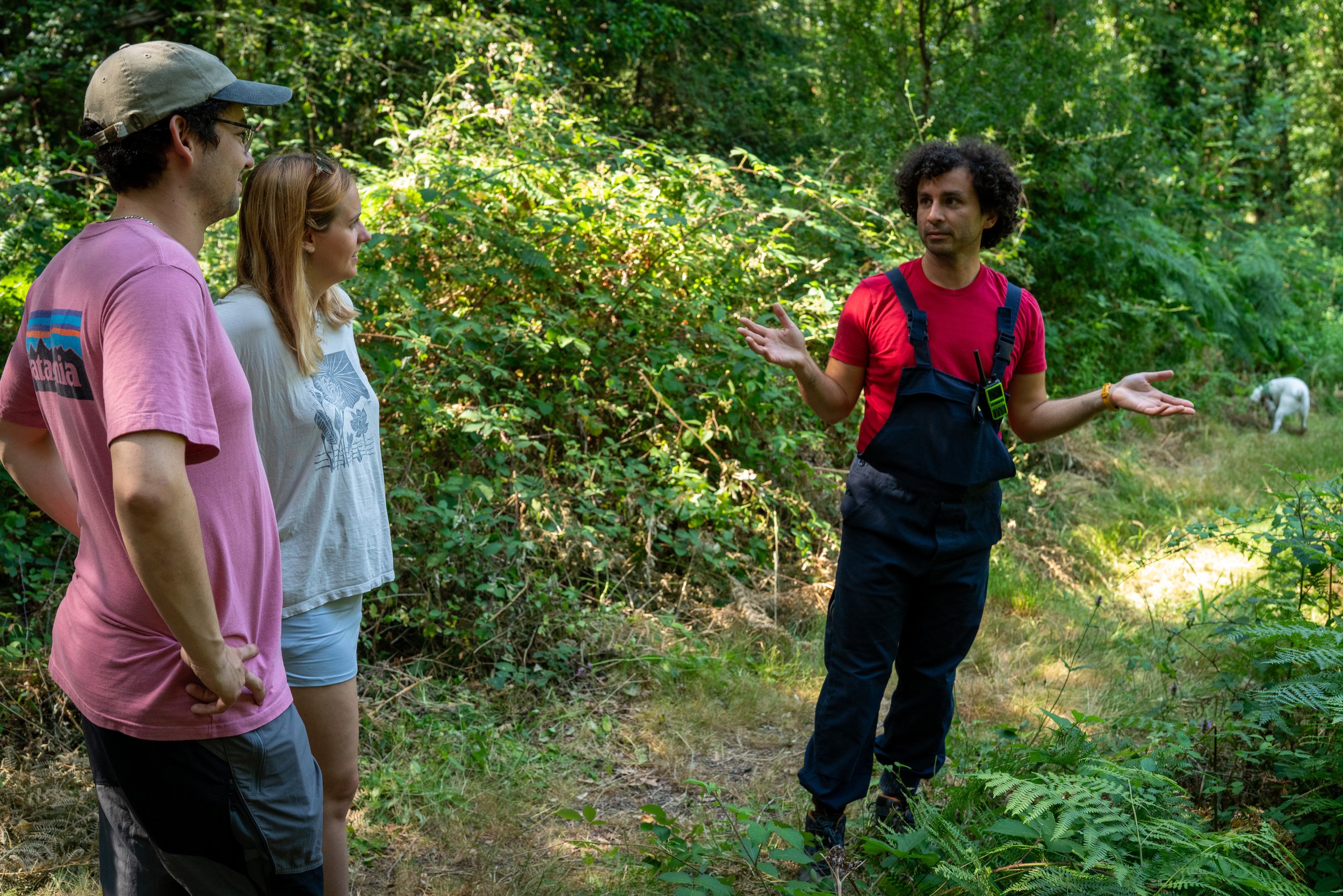 260710_EngInTheWoods-09396.jpg