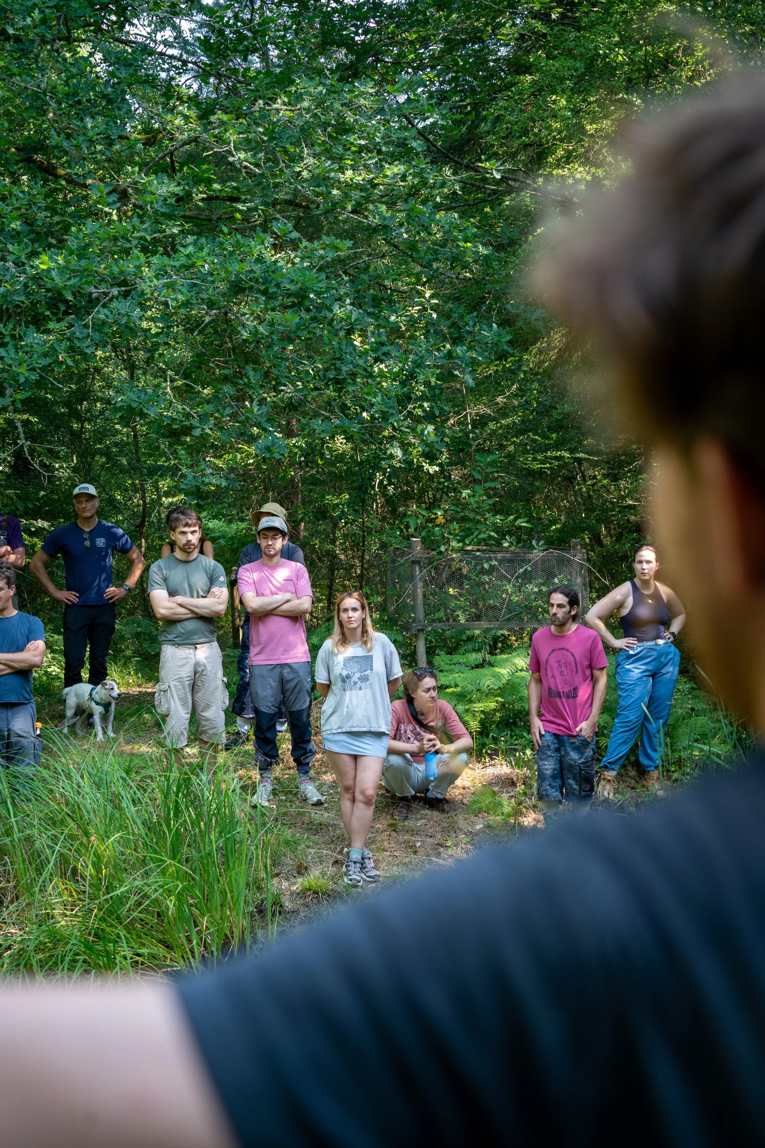 260710_EngInTheWoods-09359.jpg