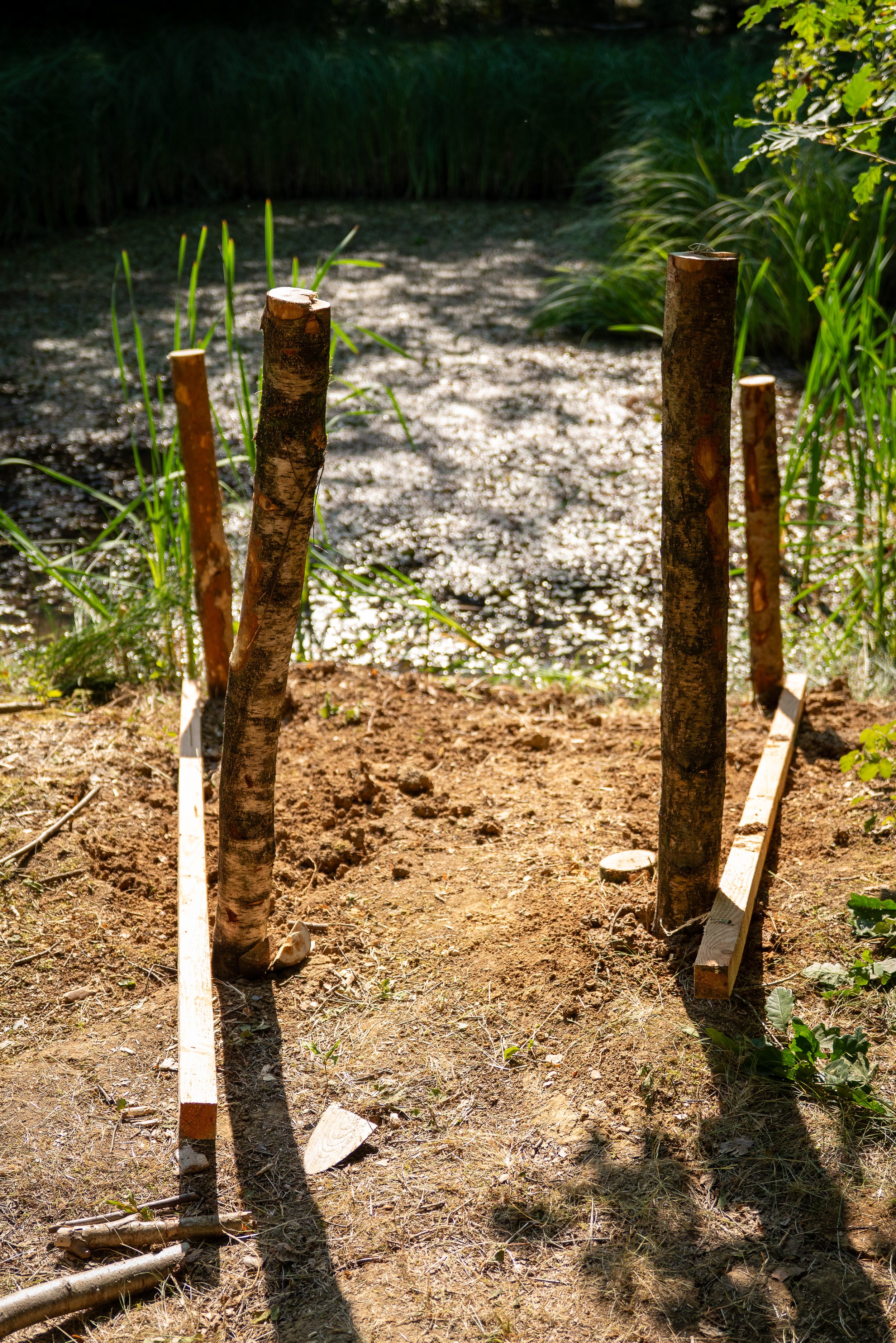 260710_EngInTheWoods-00435.jpg