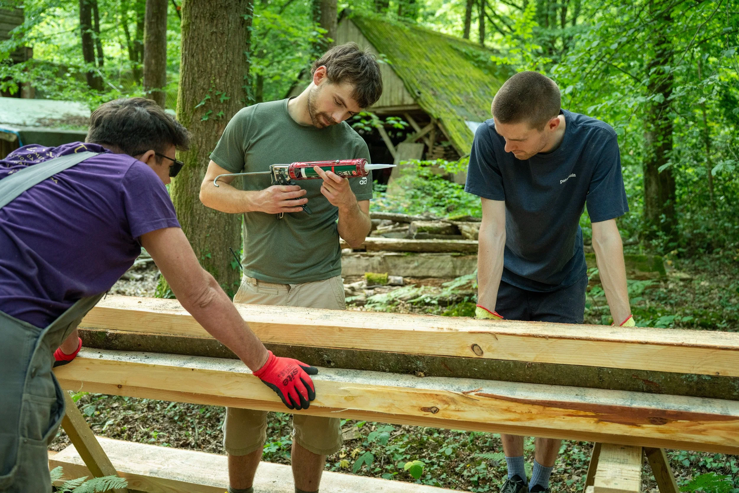 260710_EngInTheWoods-09827.jpg