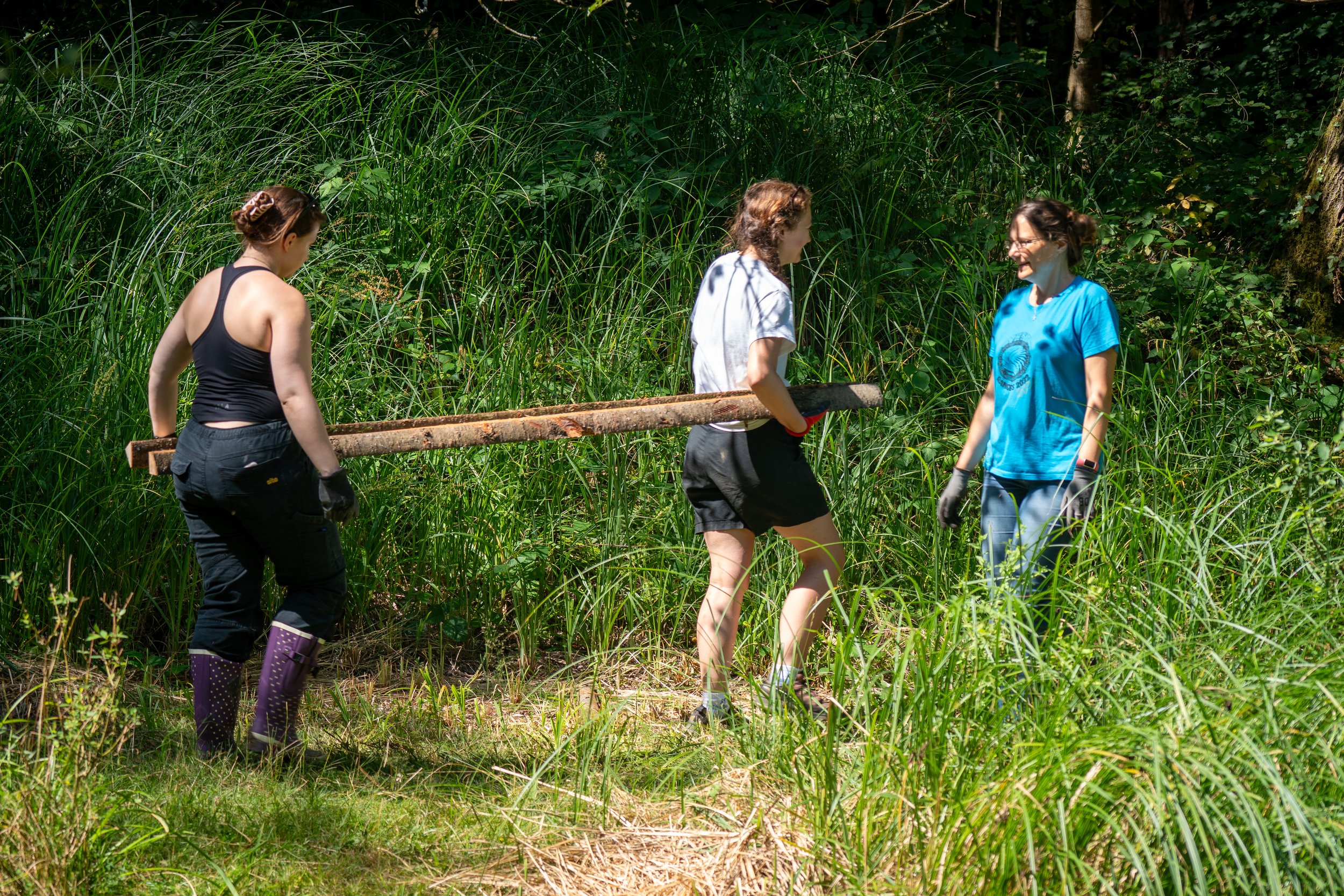 260711_EngInTheWoods-00845.jpg