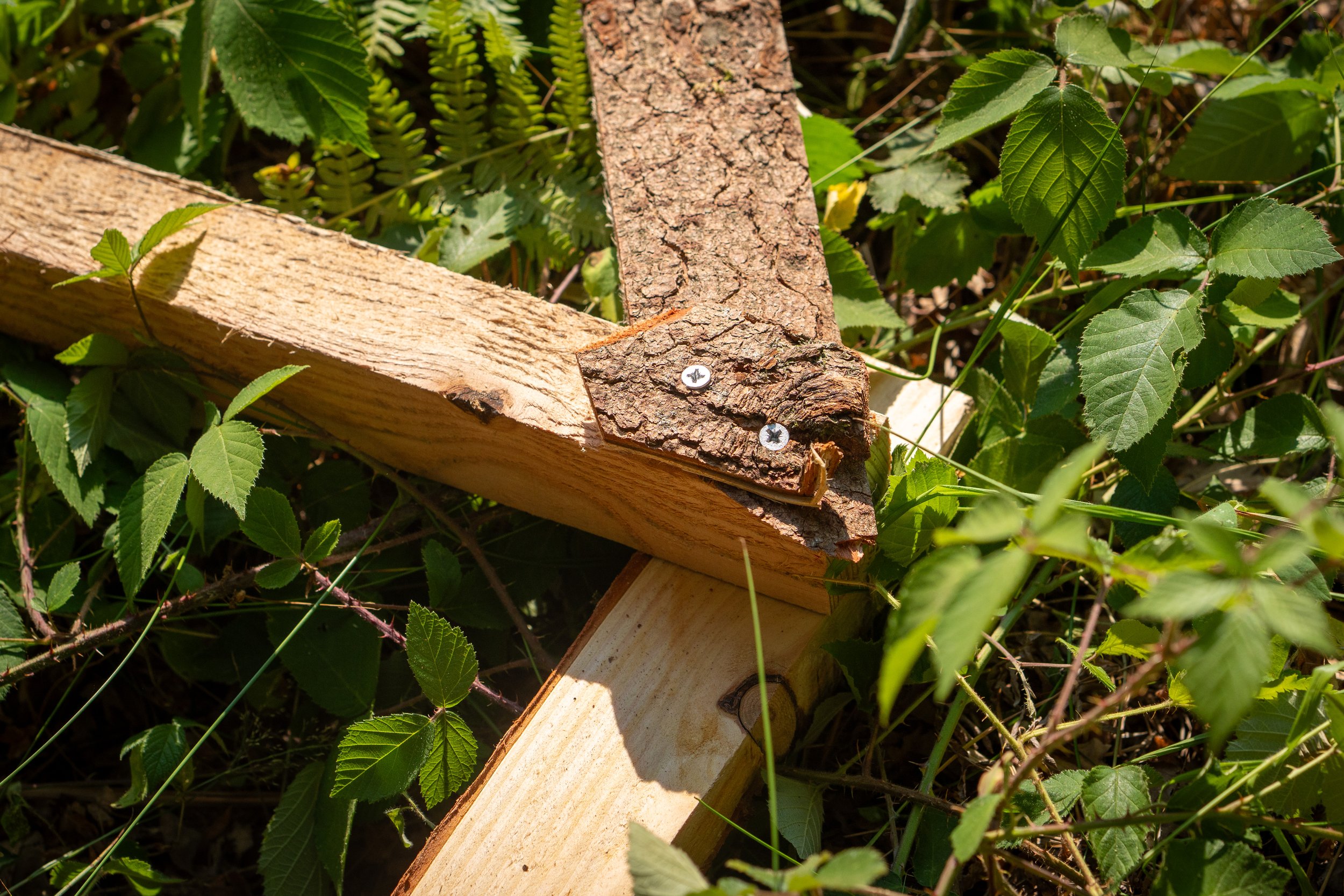 260710_EngInTheWoods-00409.jpg