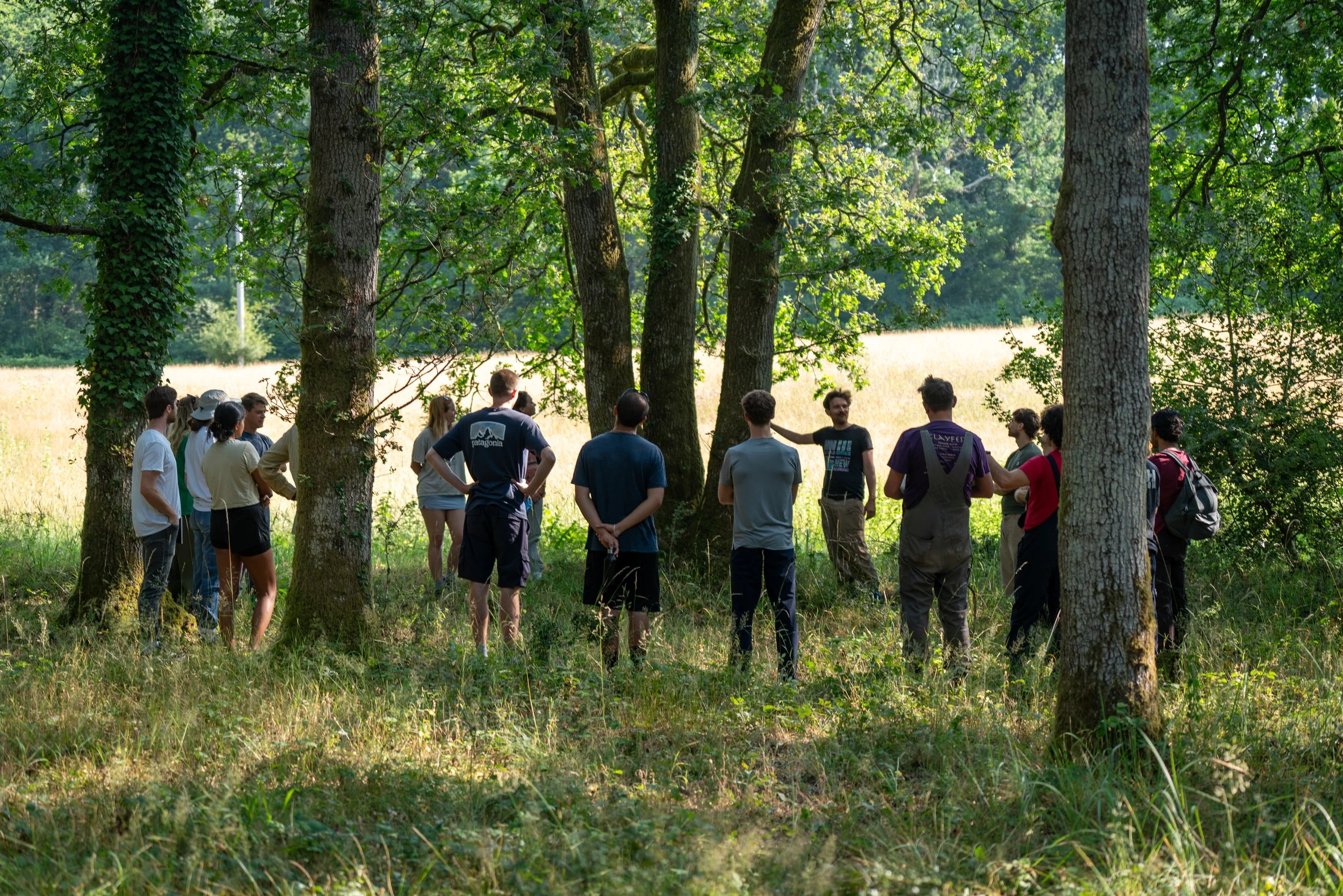 260710_EngInTheWoods-09271.jpg