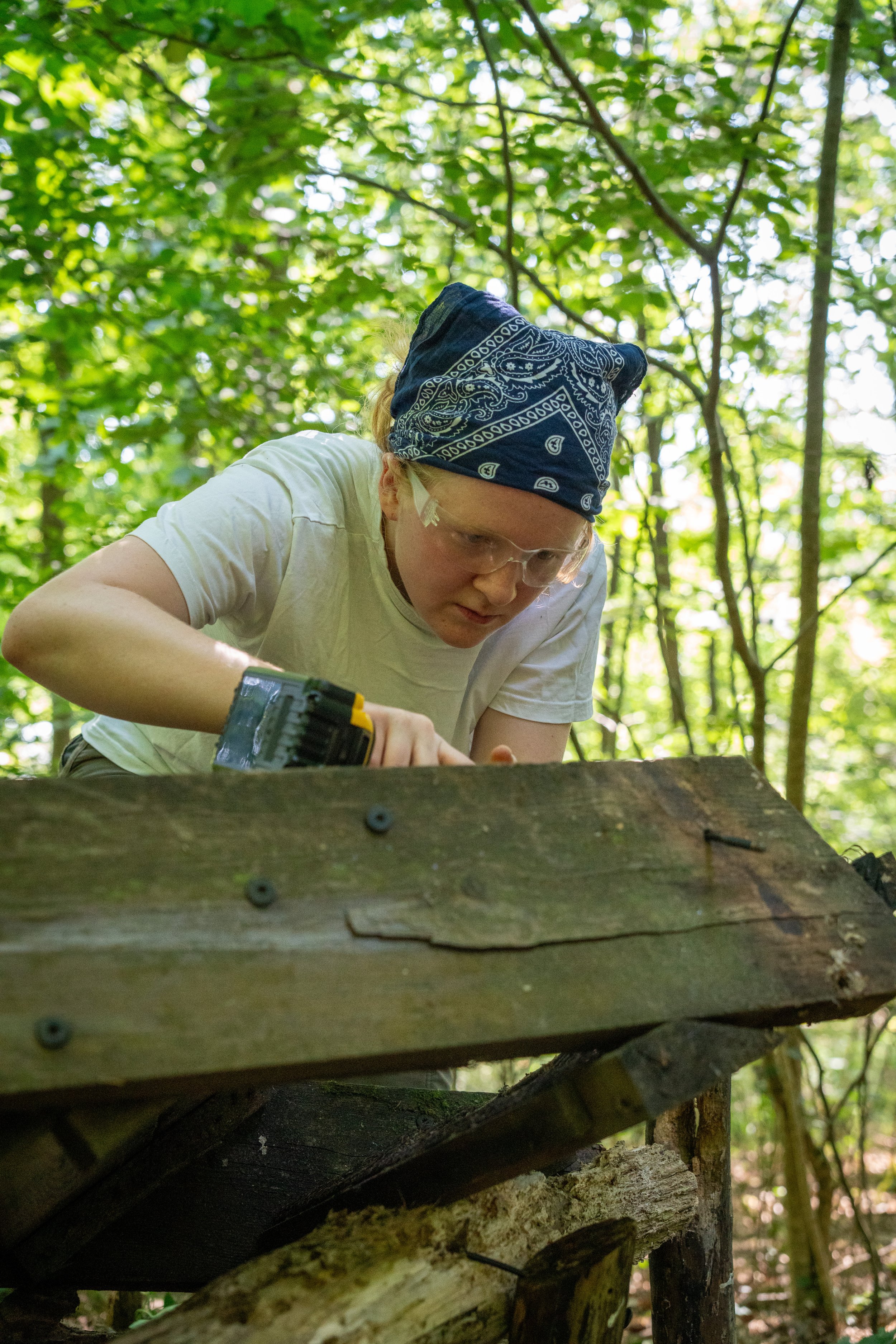 260710_EngInTheWoods-09590.jpg