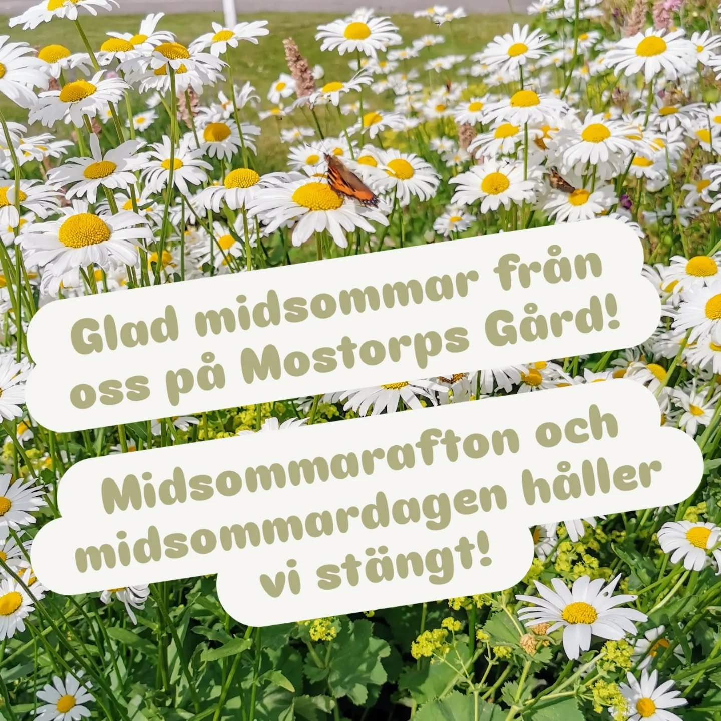 Glad midsommar &ouml;nskar vi p&aring; Mostorp!💮

I dag och i morgon &auml;r butiken st&auml;ngd. V&auml;lkomna &aring;ter n&auml;sta vecka.

🍓💮🌸