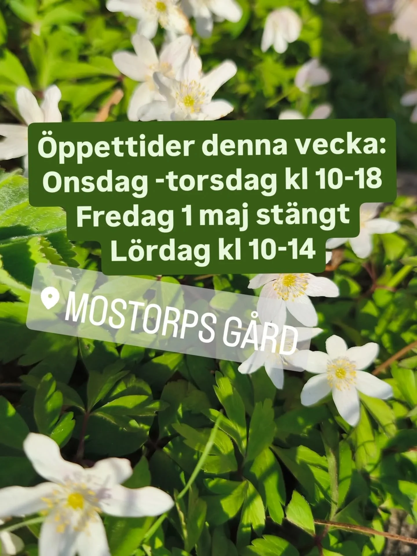 Dags att fira in maj-m&aring;nad!🌼

Denna vecka har vi st&auml;ngt p&aring; fredag och h&aring;ller i &ouml;vrigt v&aring;ra vanliga &ouml;ppettider.

V&auml;lkomna till oss i butiken!

#g&aring;rdsbutik #n&auml;rproducerat