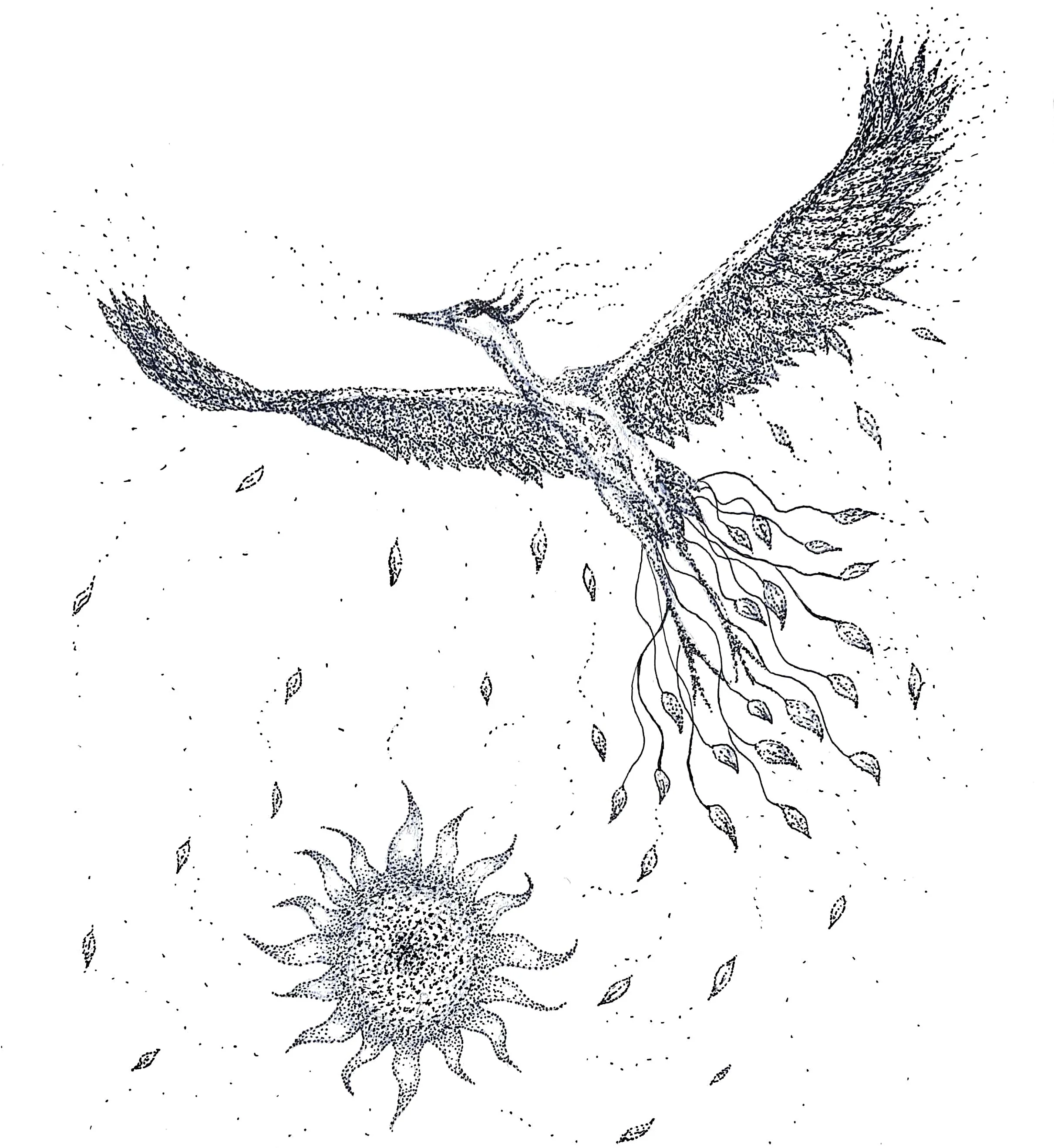 The Transformation of the Phoenix
