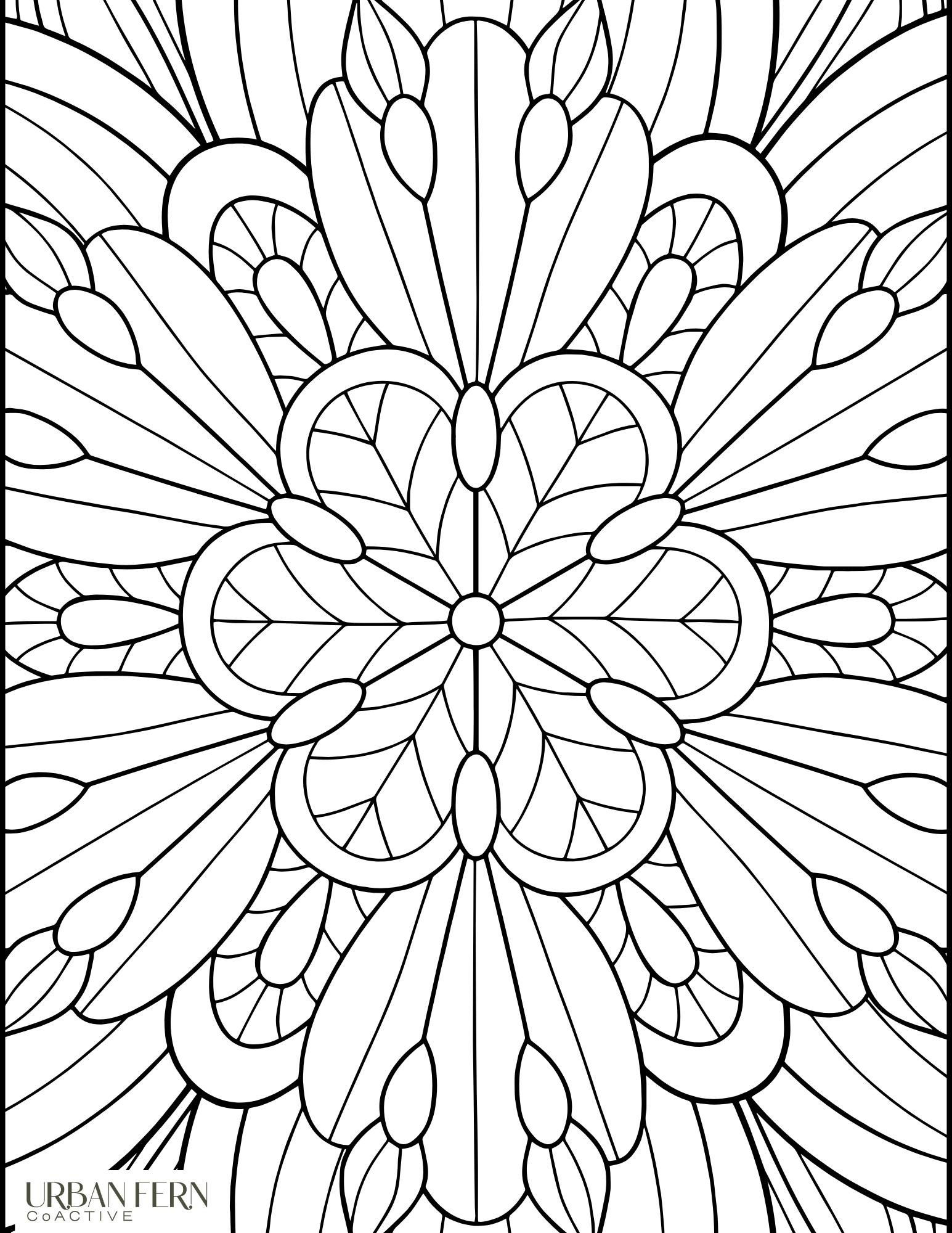 https://i.etsystatic.com/56098730/r/il/609abd/6430528366/il_fullxfull.6430528366_6fzo.jpg
