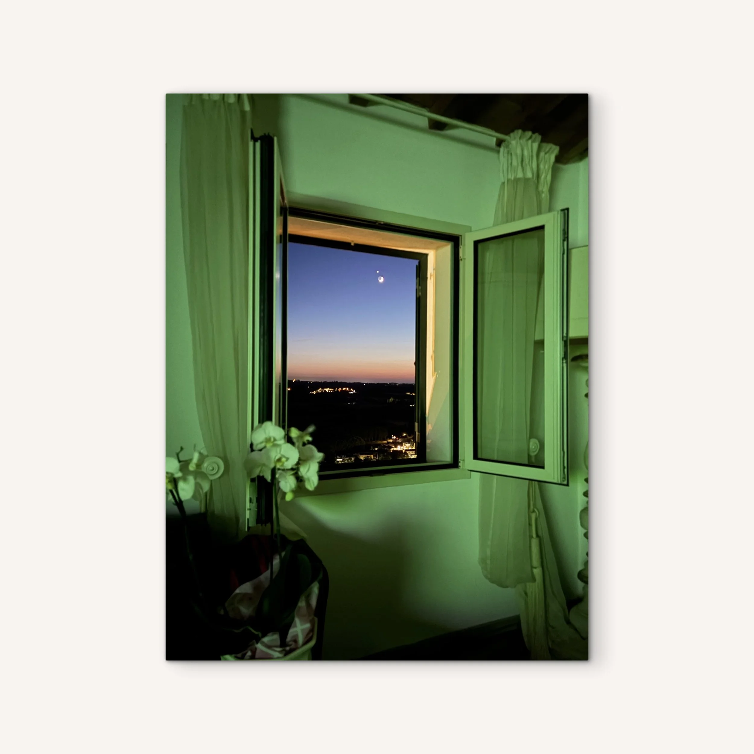 That Green Glow on White.JPG