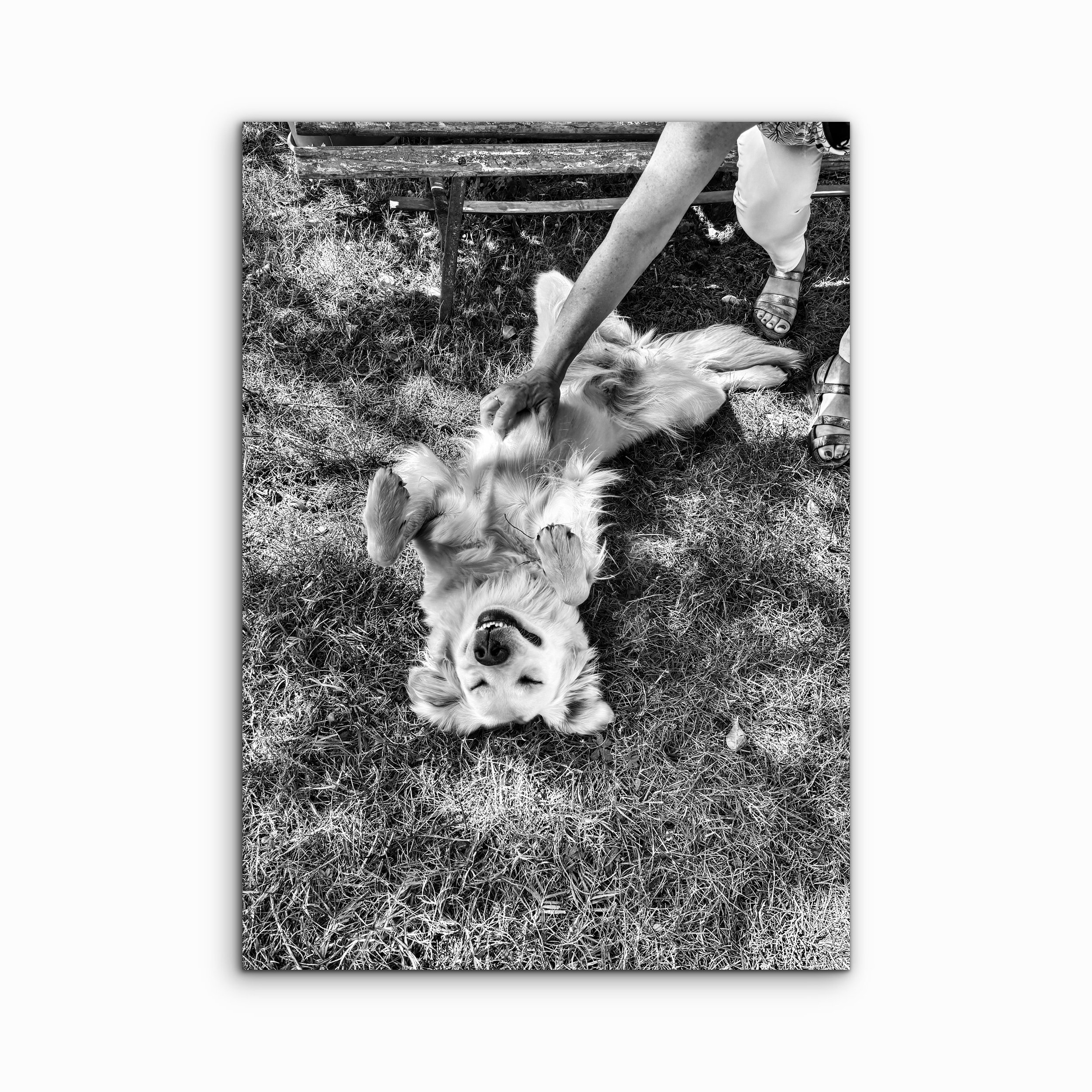 Happiness Is | Tuscany