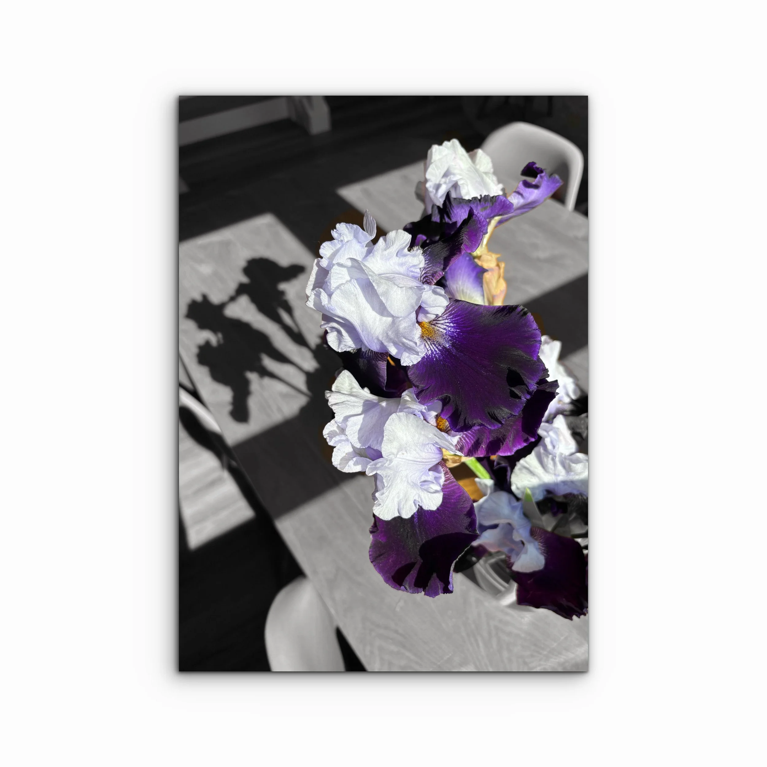 Resignation II | Ohio