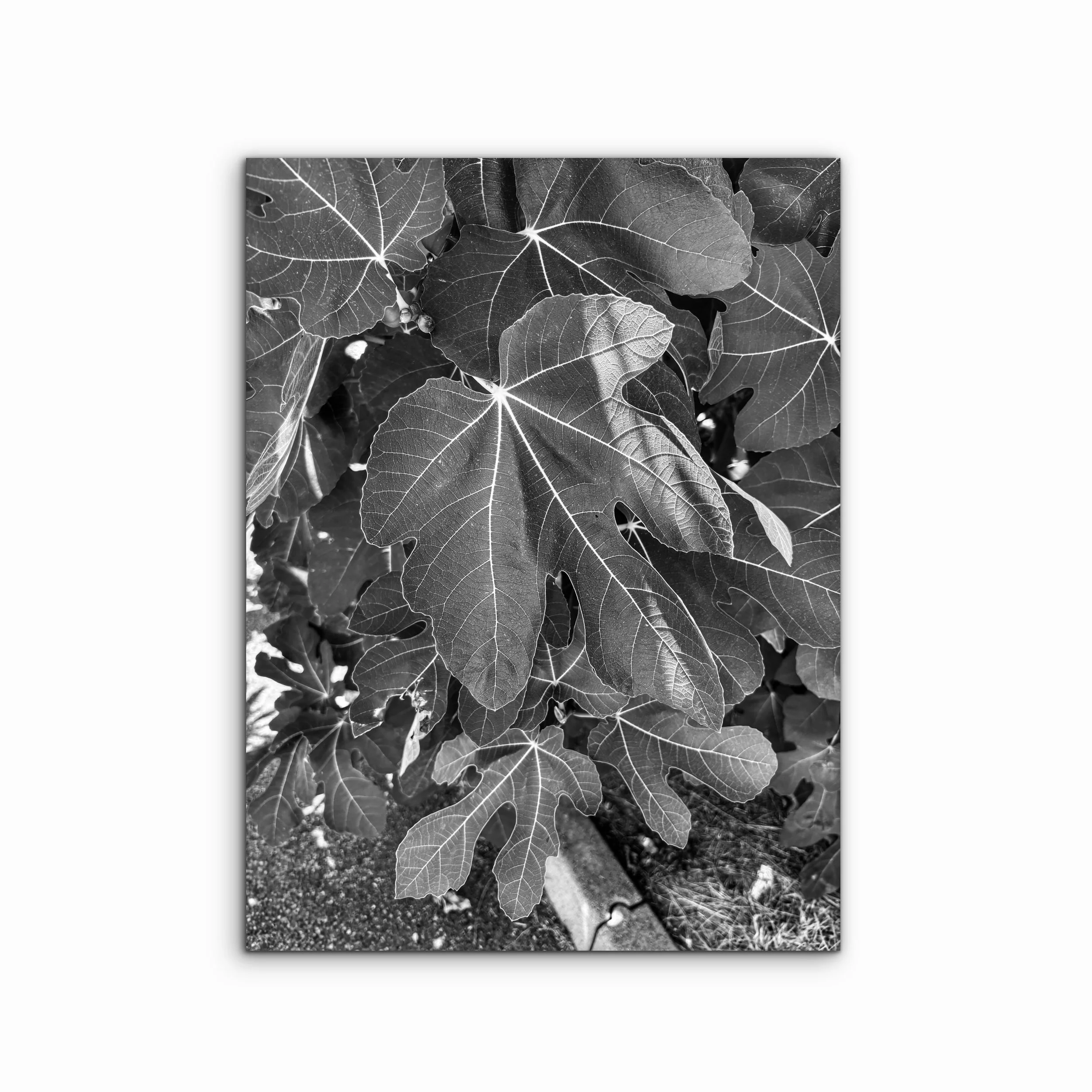 Wellness III | Bologna, Italy