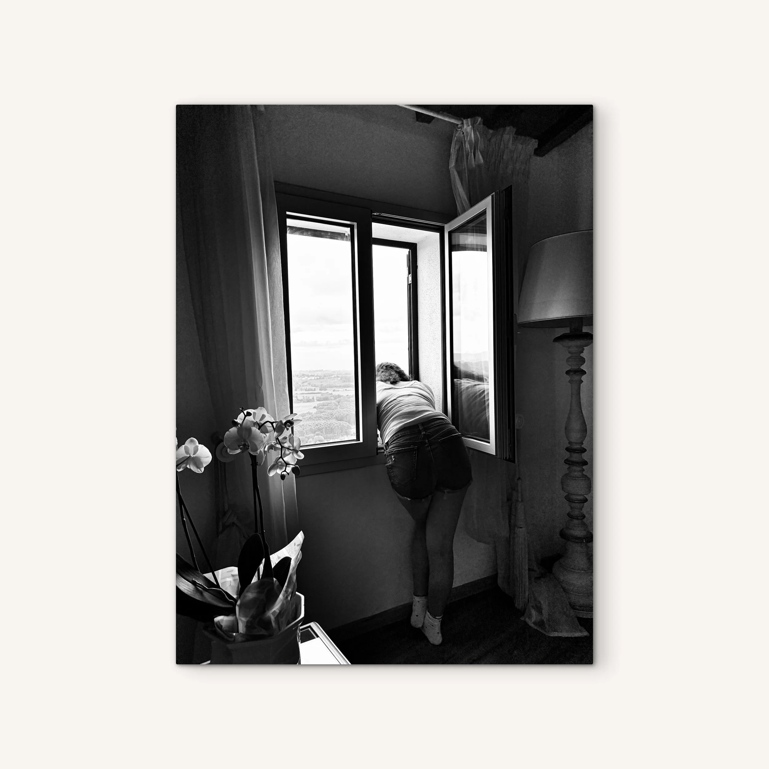 Quiet Contemplation on White.JPG