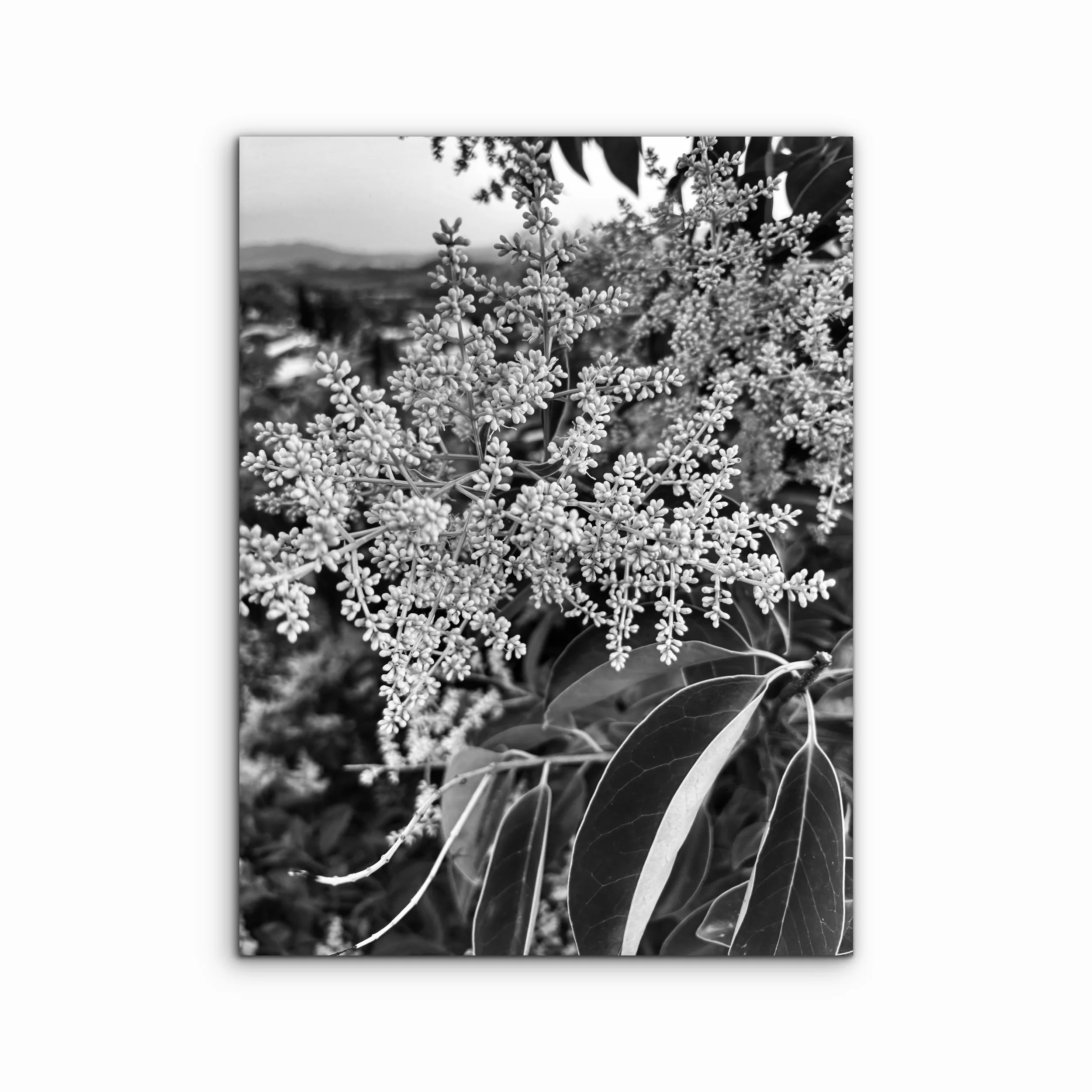 Wellness I | Bologna, Italy