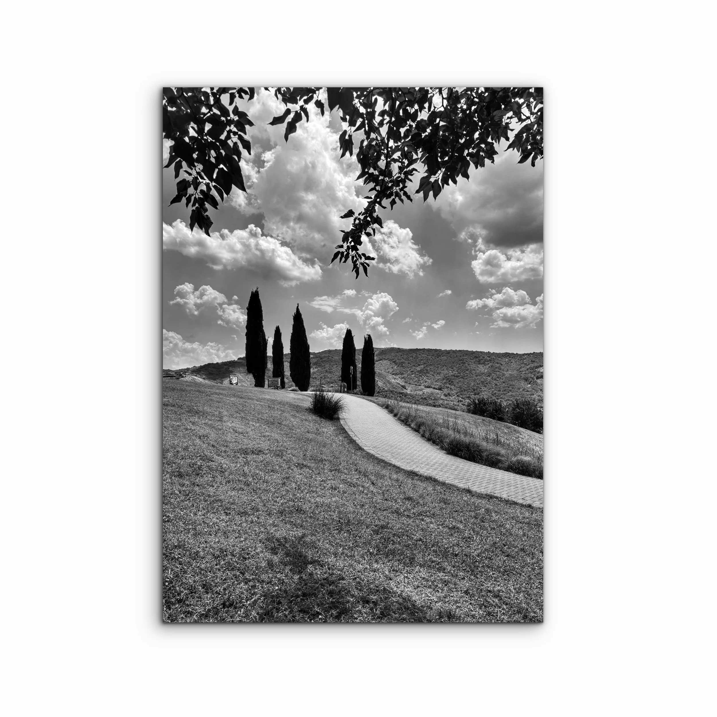 Wellness II | Bologna, Italy